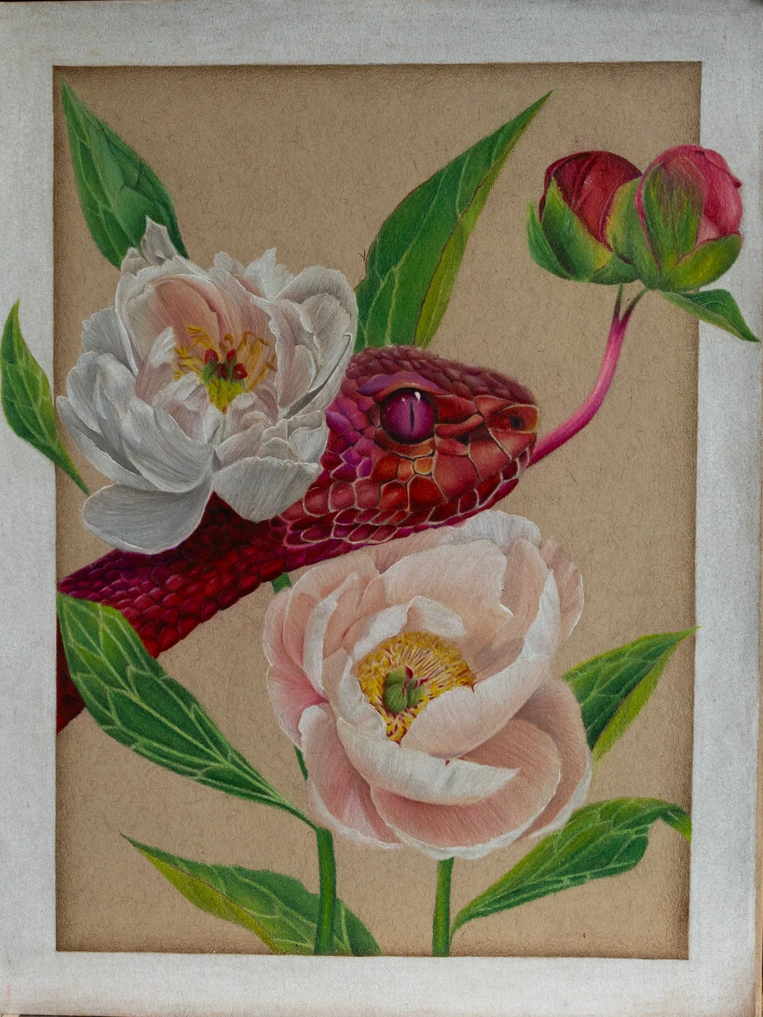 Veiled Solidity Print