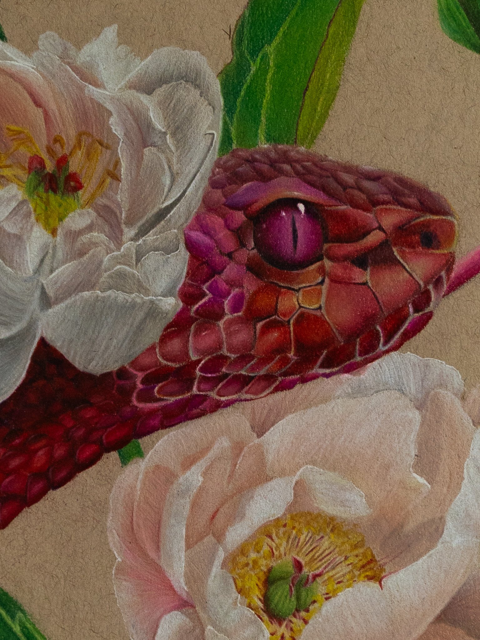 Snake edited-44.jpg