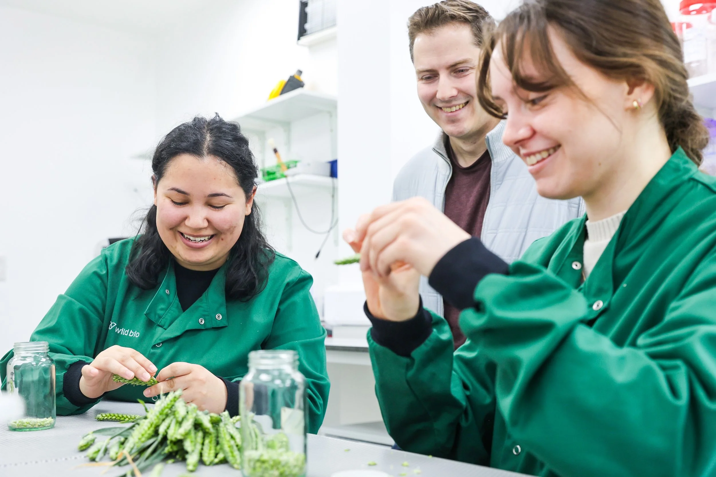 Wild+Bioscience+technicians+Tabitha+Furman-Woodvine+and+Gracie+Hammond+harvesting+wheat+with+co-founder+and+CEO+Ross+Hendron+in+the+newly+extended+facilities+at+Milton+Park,+Oxfordshire.jpg