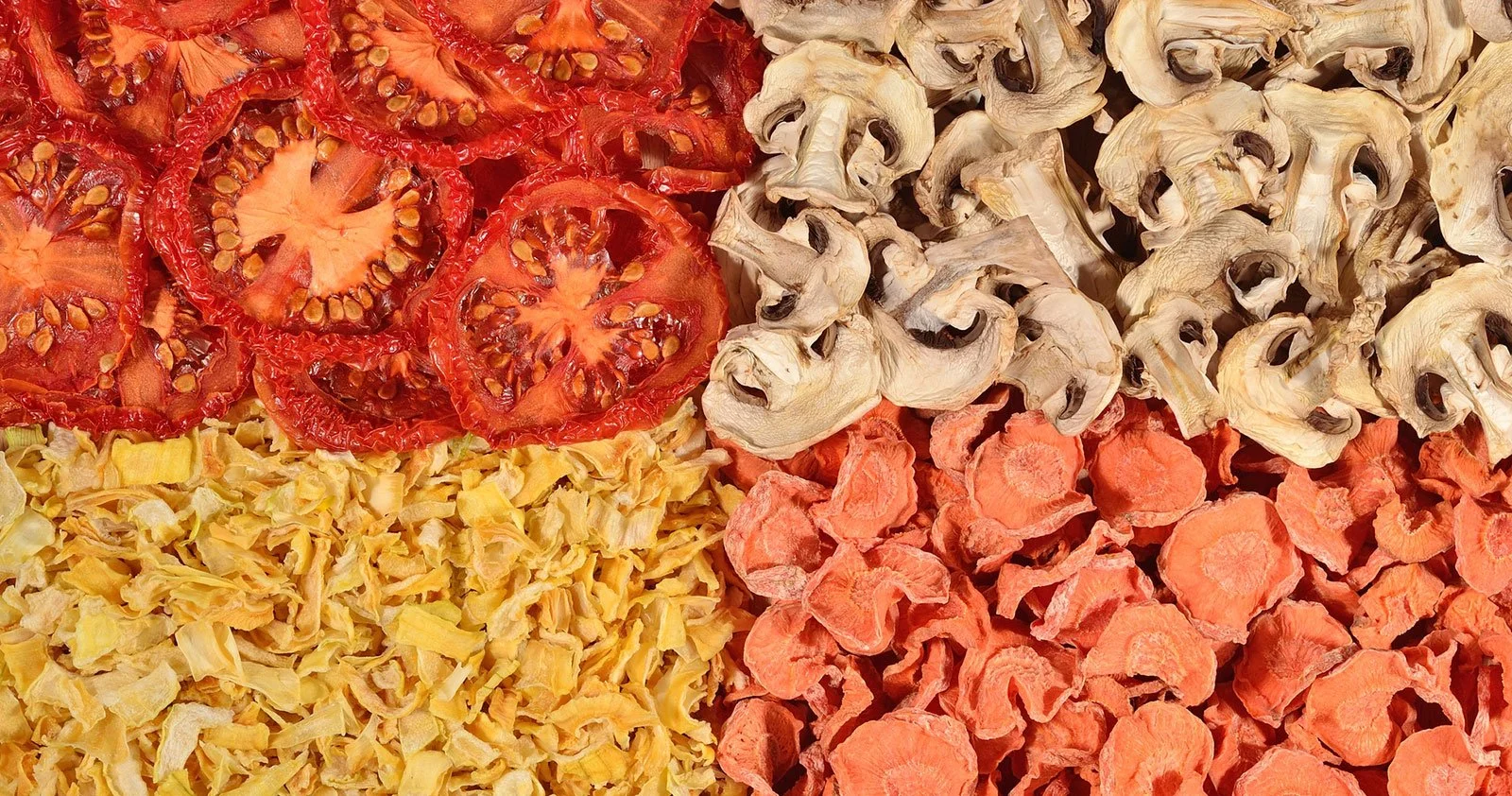 Frutas secas, incluindo tomates, cogumelos, abóbora e cenoura em cores vibrantes.