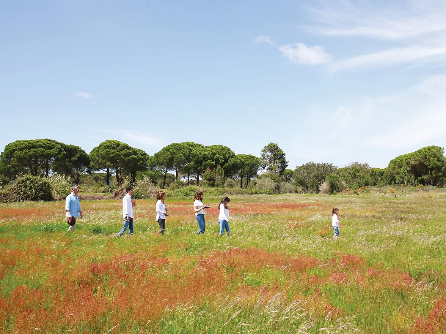 Grupo de pessoas caminhando por um campo de grama com árvores ao fundo sob céu azul.