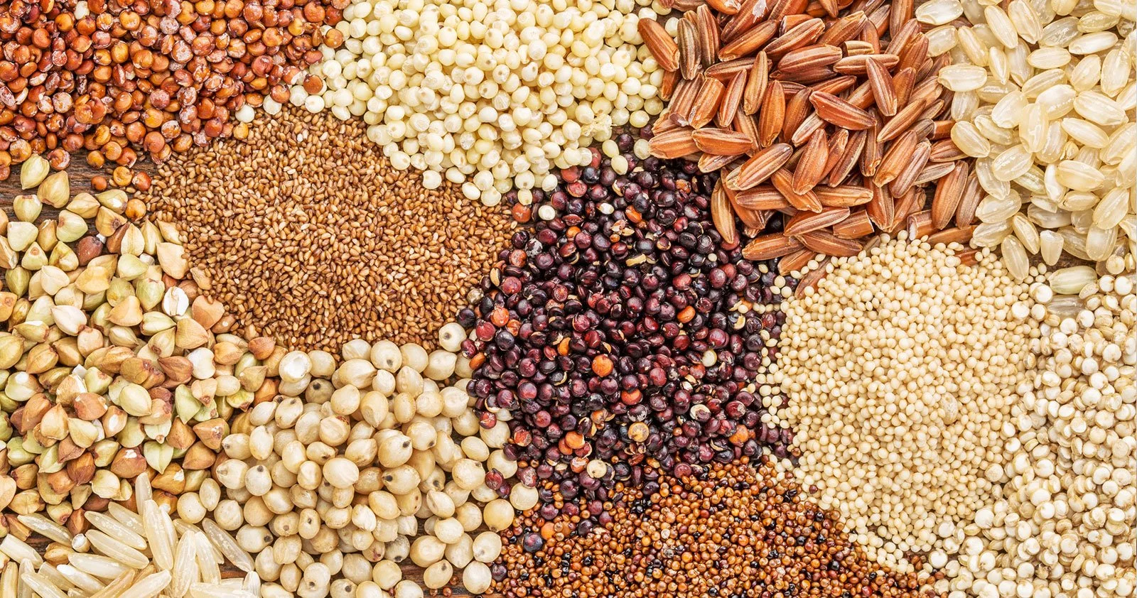 Diversos tipos de sementes de diferentes cores, tamanhos e texturas dispostos em grupos.