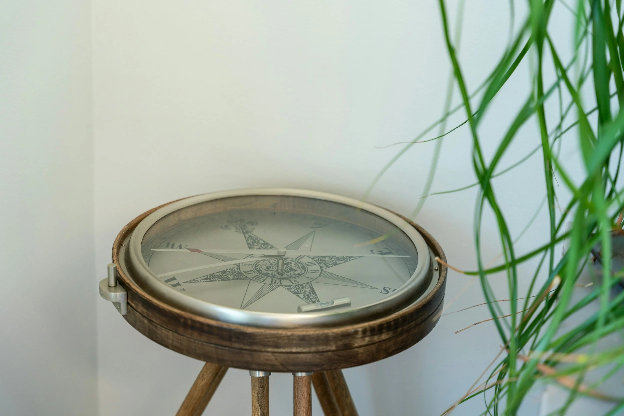 A round wall clock with a decorative compass rose design on its face, placed on a wooden tripod stand, with green plant leaves partially visible on the right side of the image.