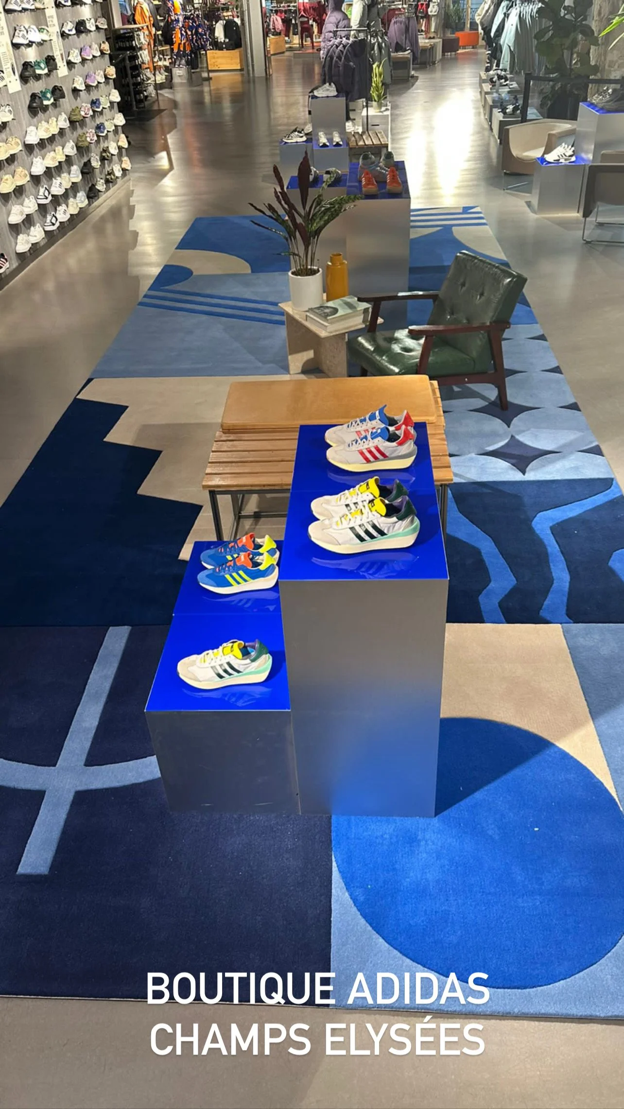 Vente de baskets adidas dans une boutique, avec plusieurs paires colorées exposées sur des tables bleues.