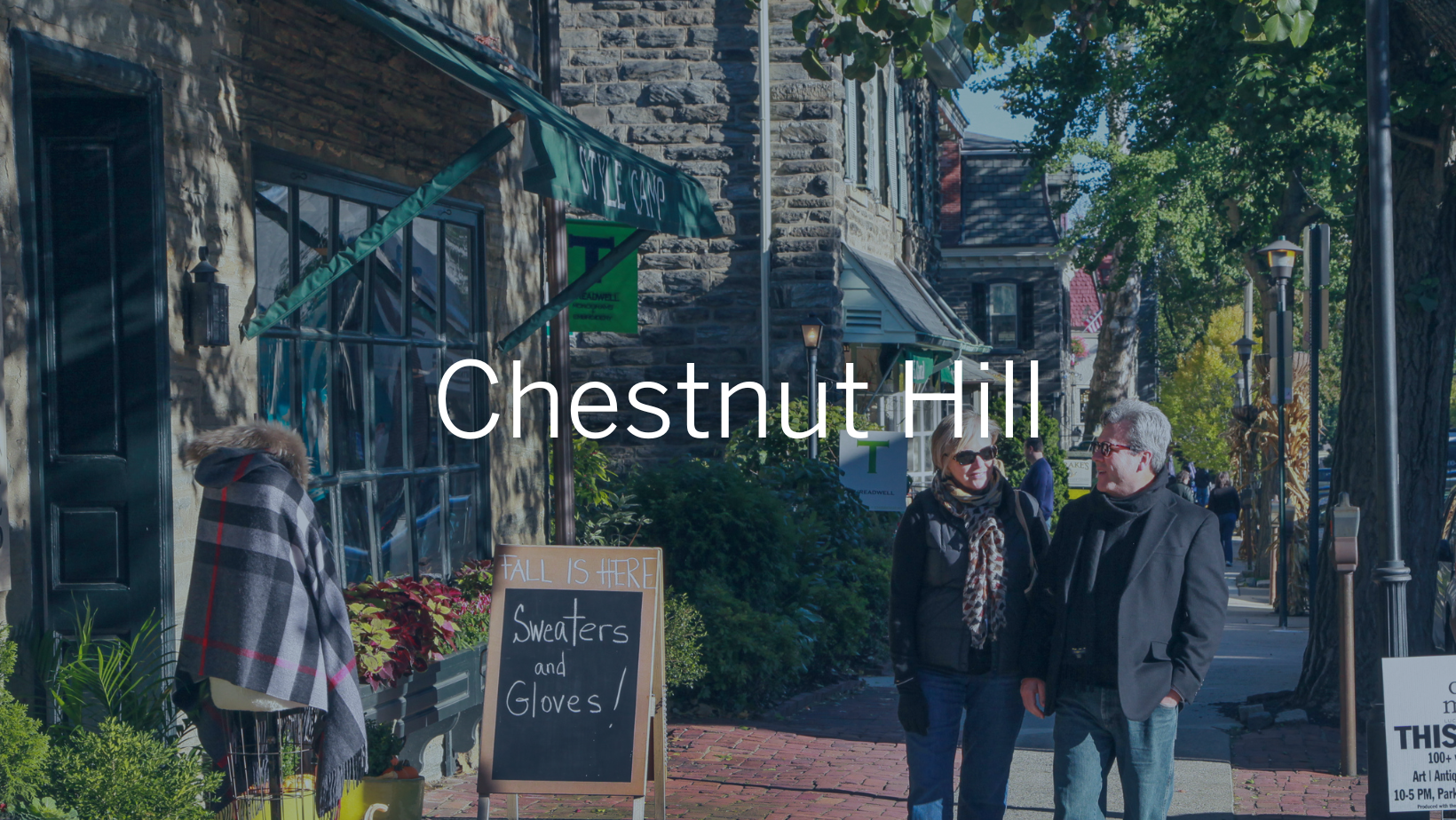 Chestnut Hill.png
