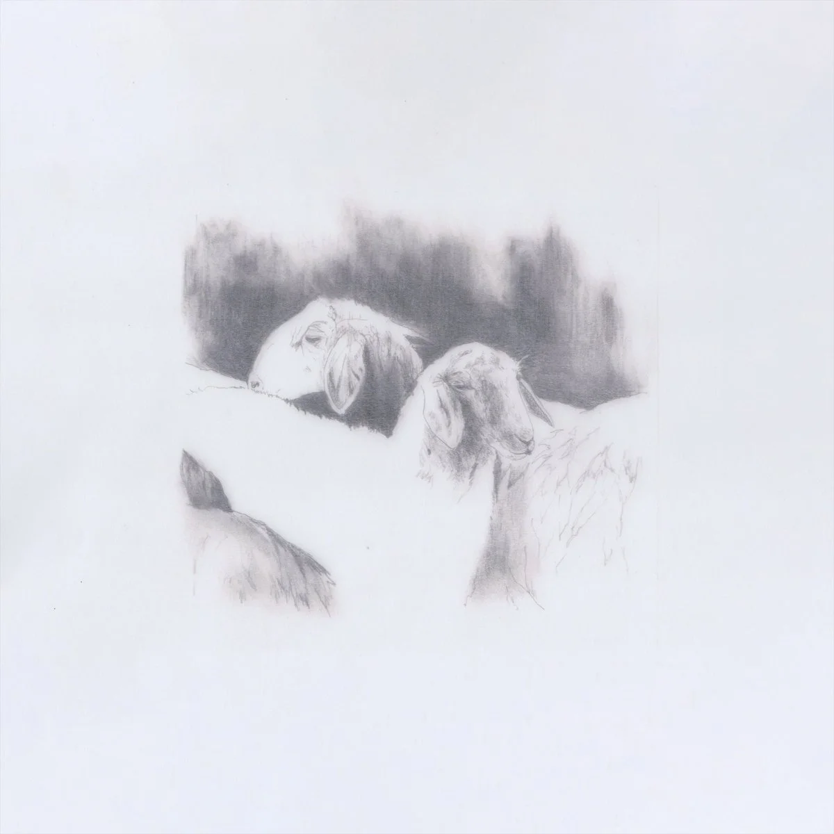 Lavurn - Baby It Cold Outside - Motion Ward