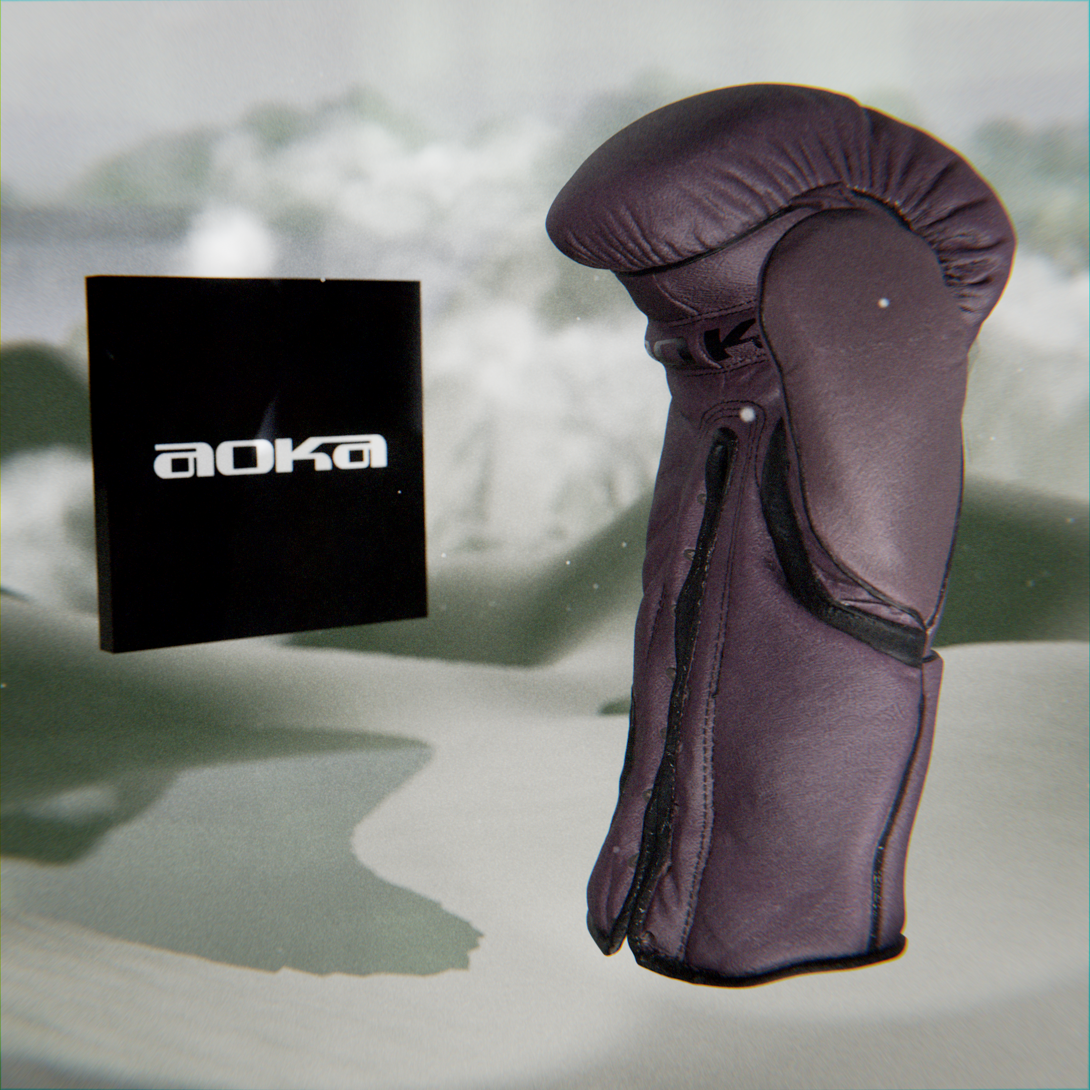 aokaEnvironment_06.png