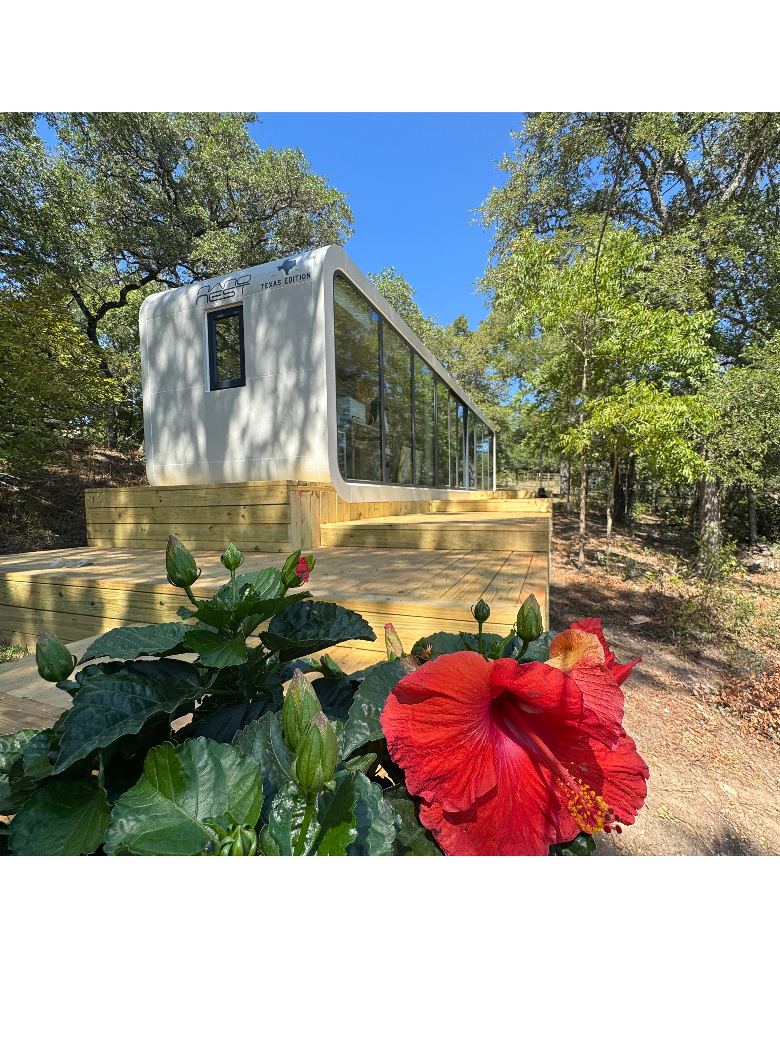 A modern tiny house with large glass windows on a wooden deck, set in a lush, wooded area under a clear blue sky, with a red Hibiscus flower in the foreground.