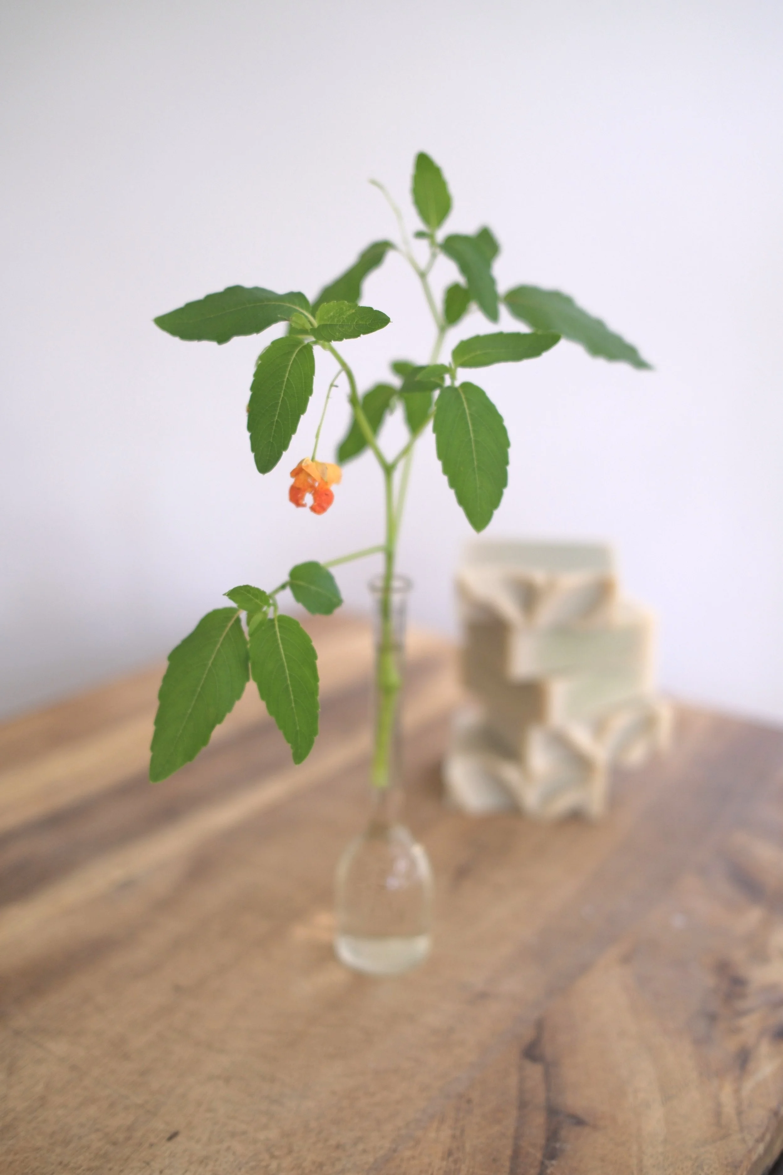 Jewelweed Soap