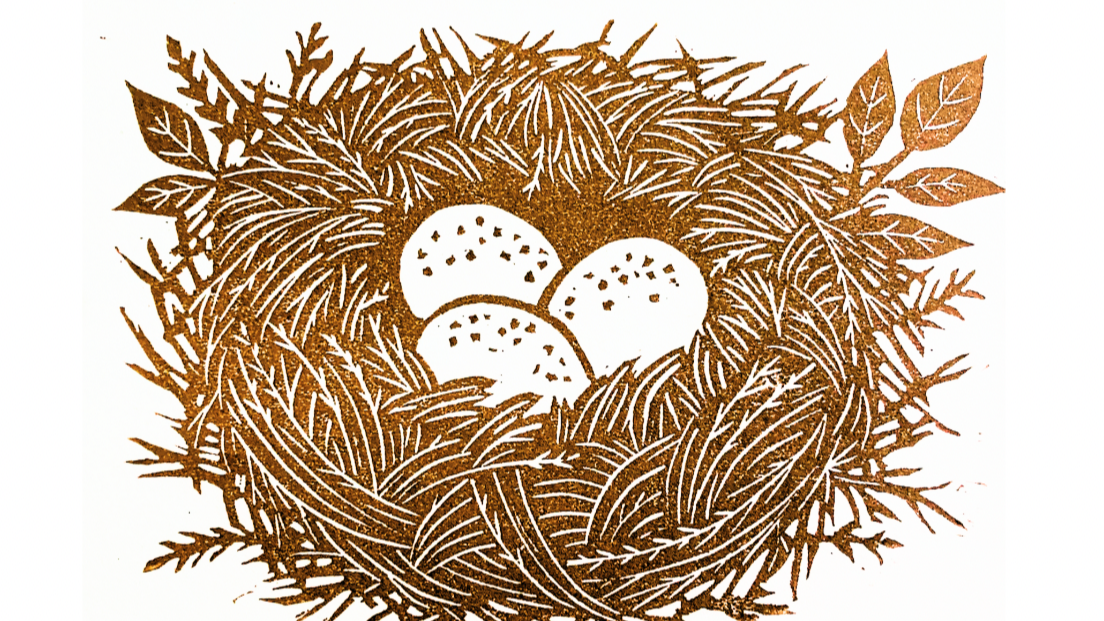 How P.S. Nest Got Its Name: A Story of Signatures and Safe Havens