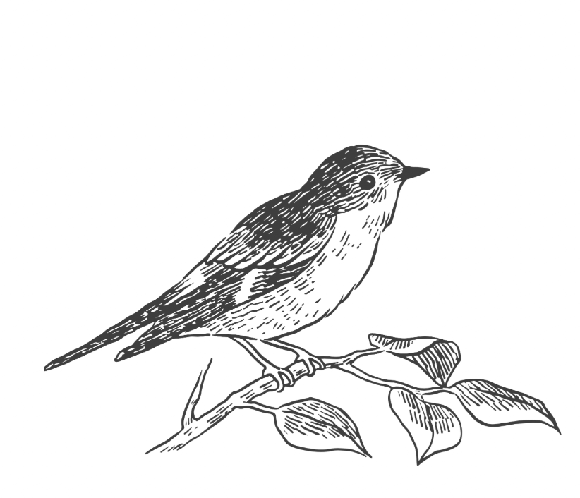 A close-up view of a wooden surface, showcasing its brown color and textured grain pattern.