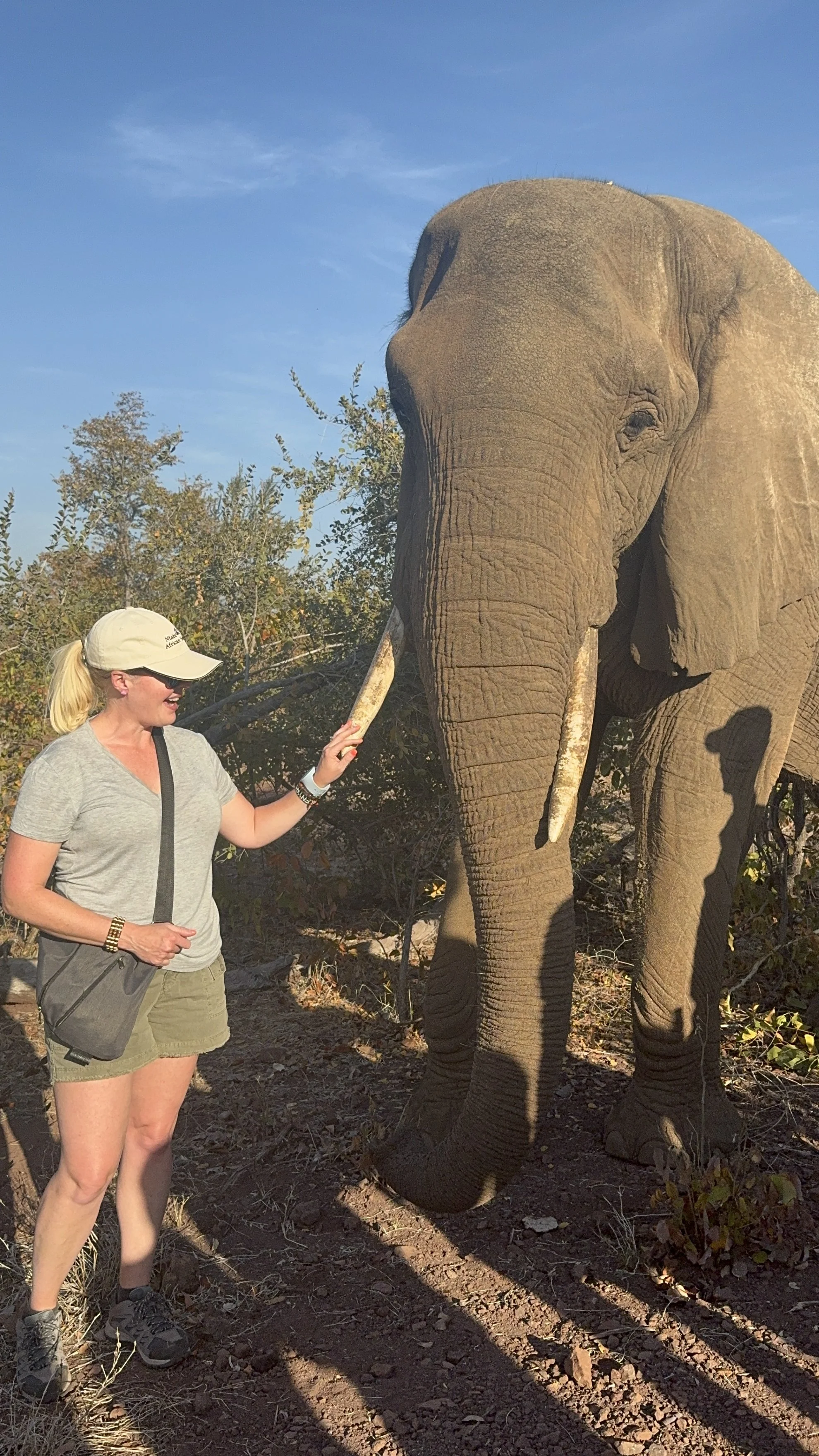 me and elephant.JPG
