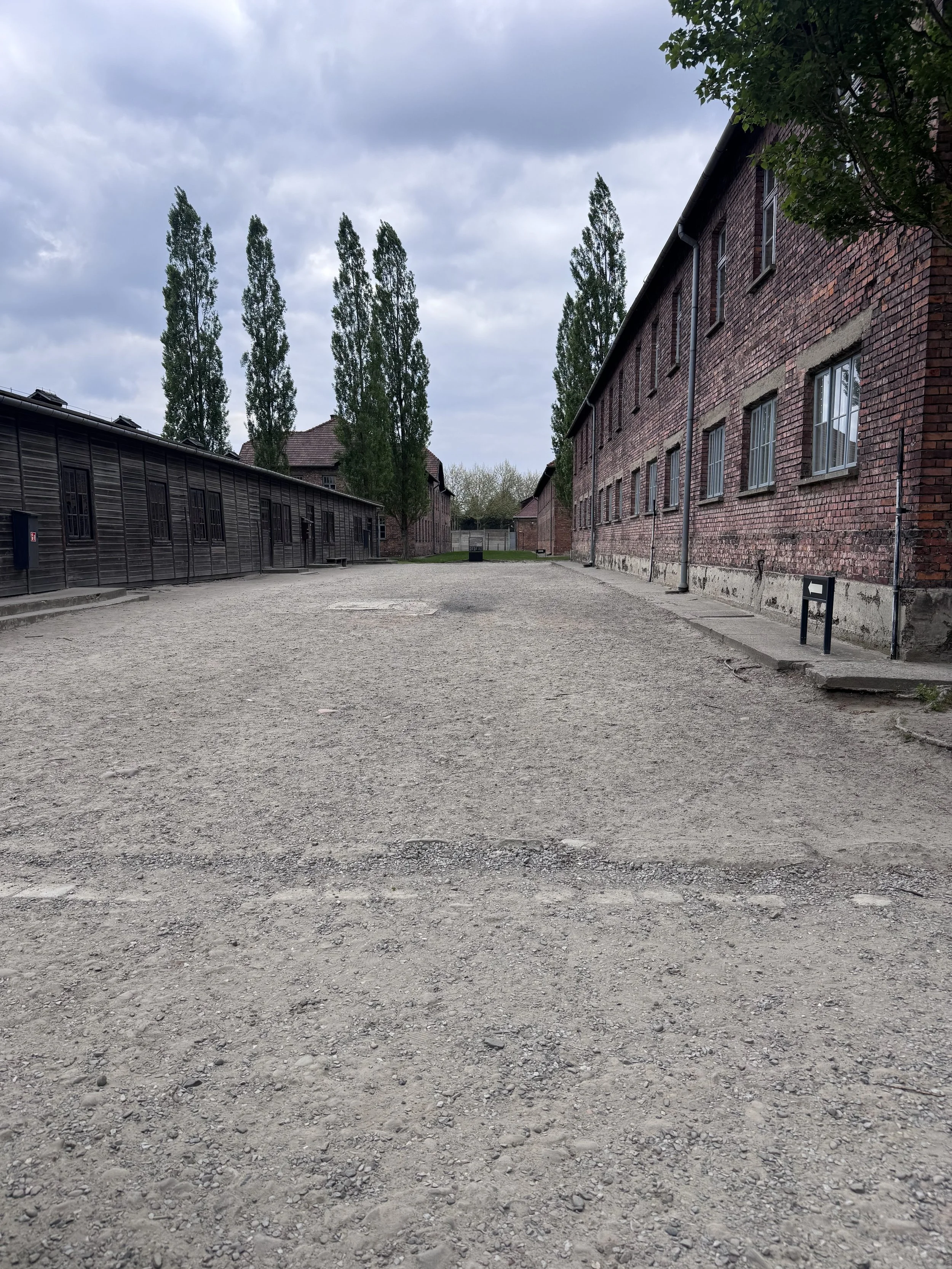 Auschwitz.jpeg