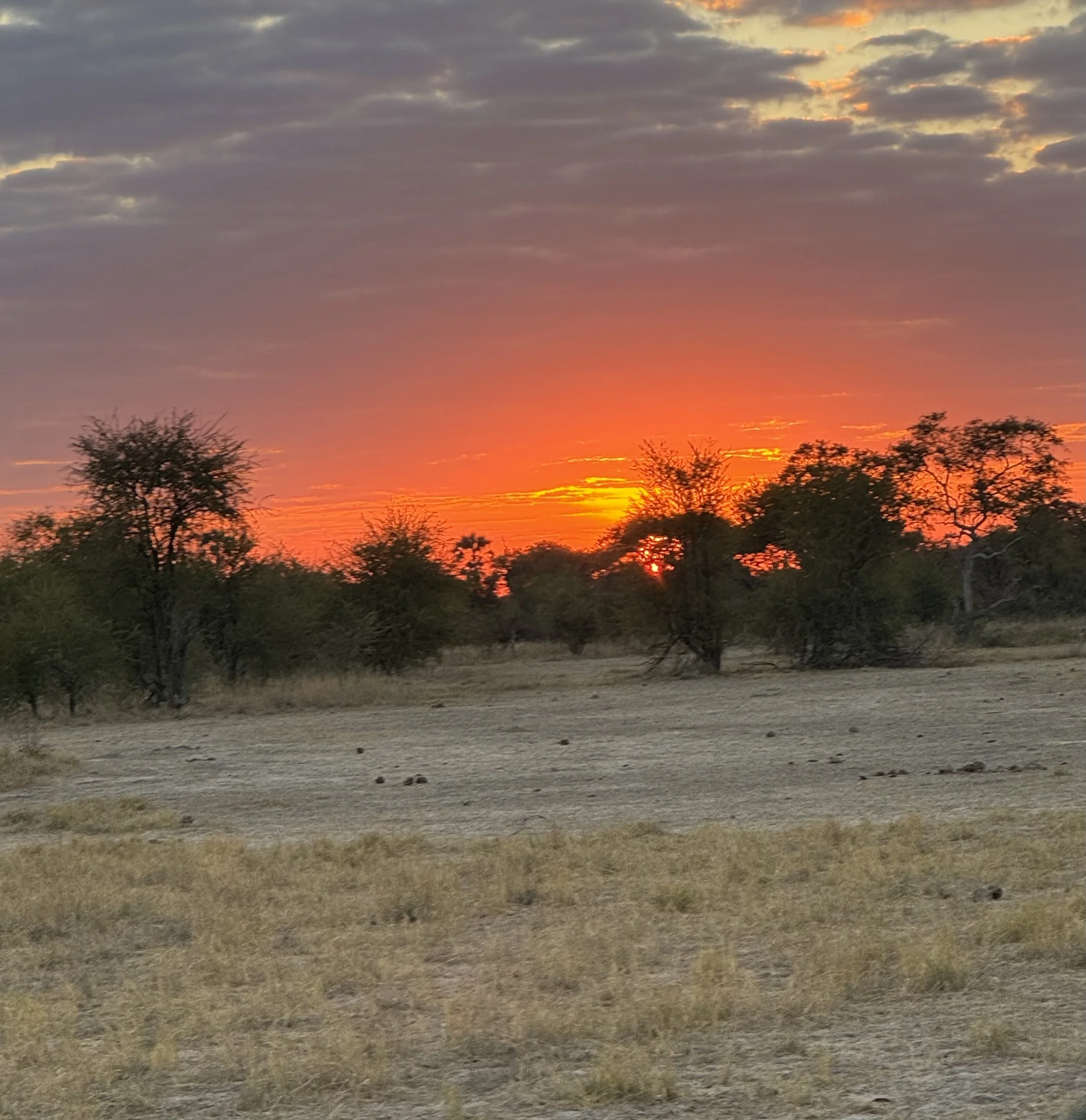 African sunset.jpg