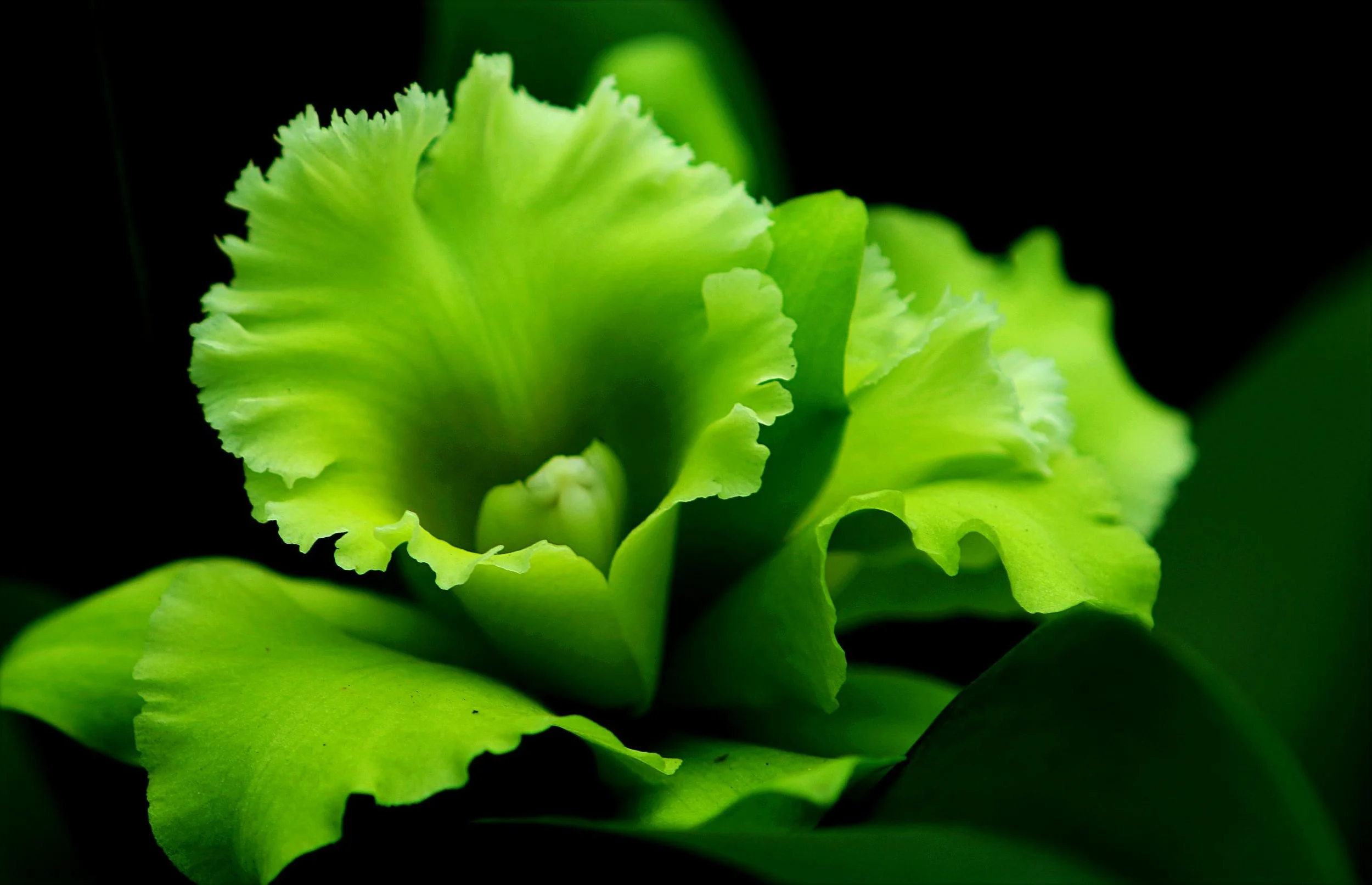 INDIVIDUAL COACHING SESSION