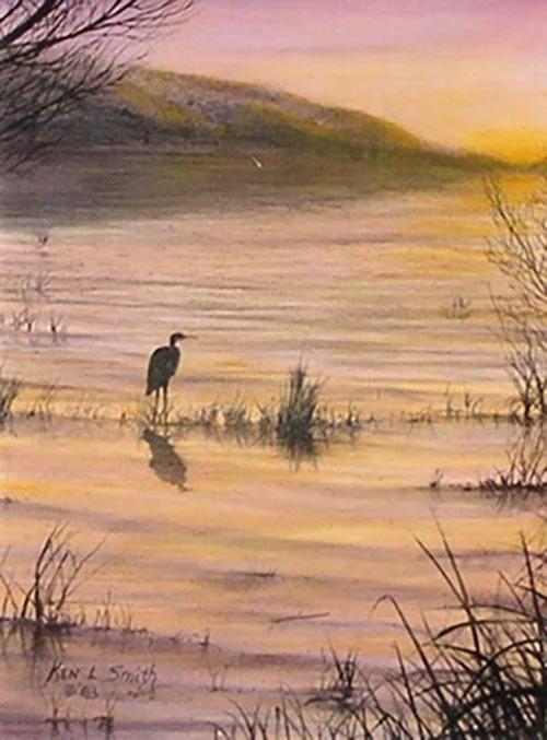 Greater Egret Fishing