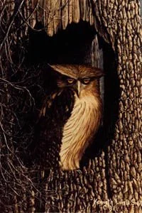 Owl perched inside a tree hollow at night