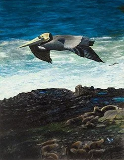 Pelican FINAL LOW RES (2).jpeg