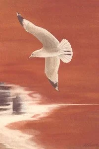 A seagull flying over water with a reddish sky background.