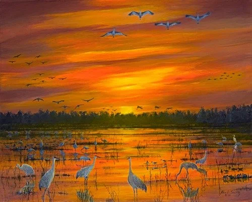 Sandhill Cranes Fly In