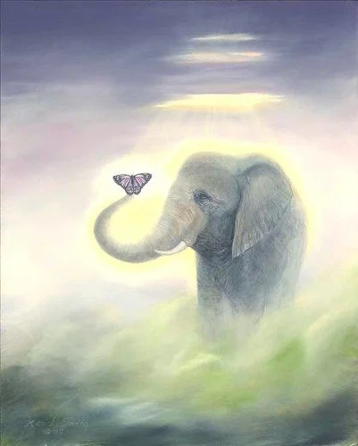 A Mother's Butterfly