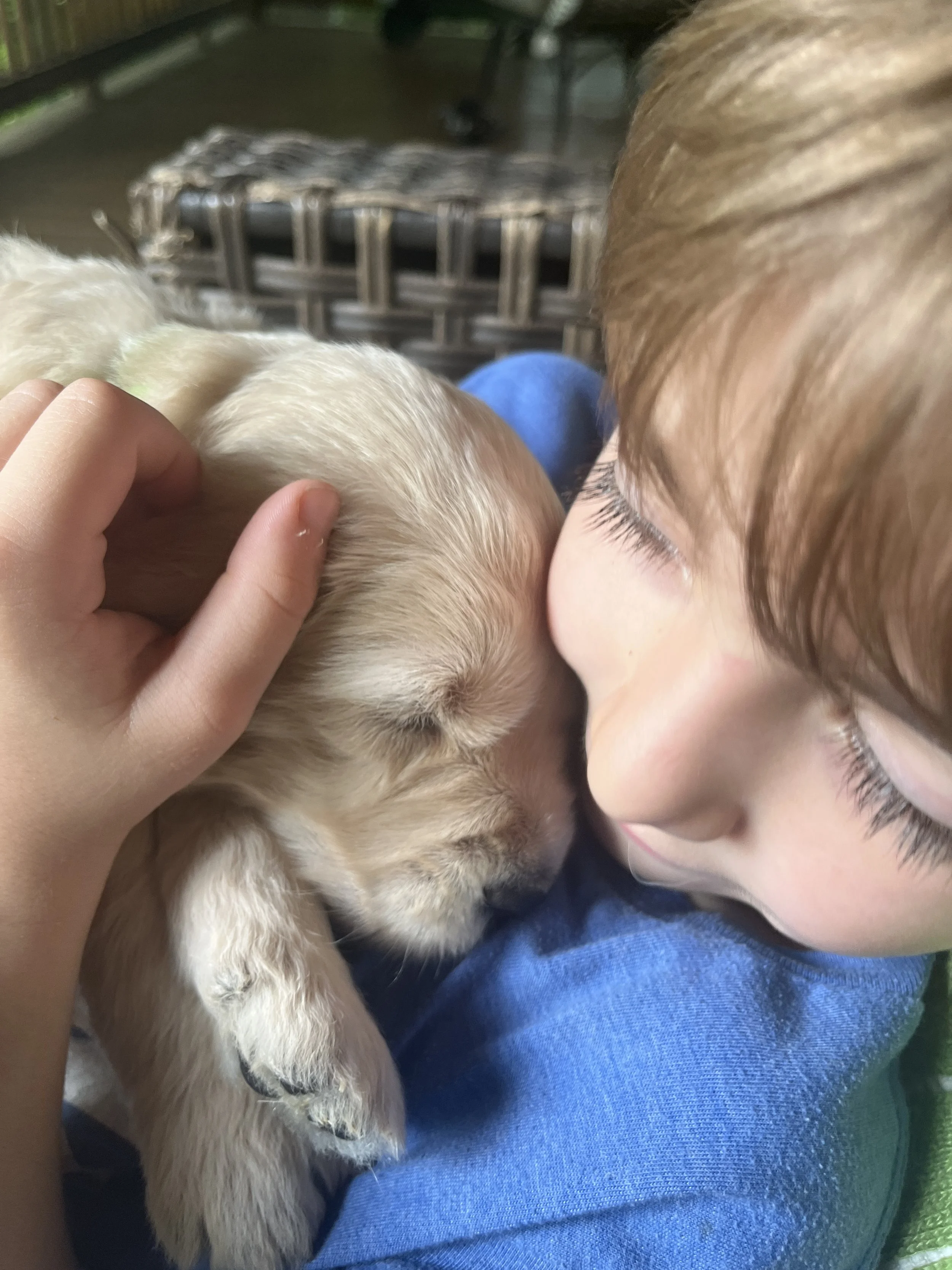 Family raised puppies make better pets…
