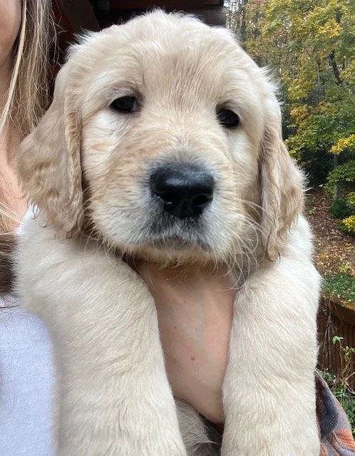 FullSizeRender (1).jpeg