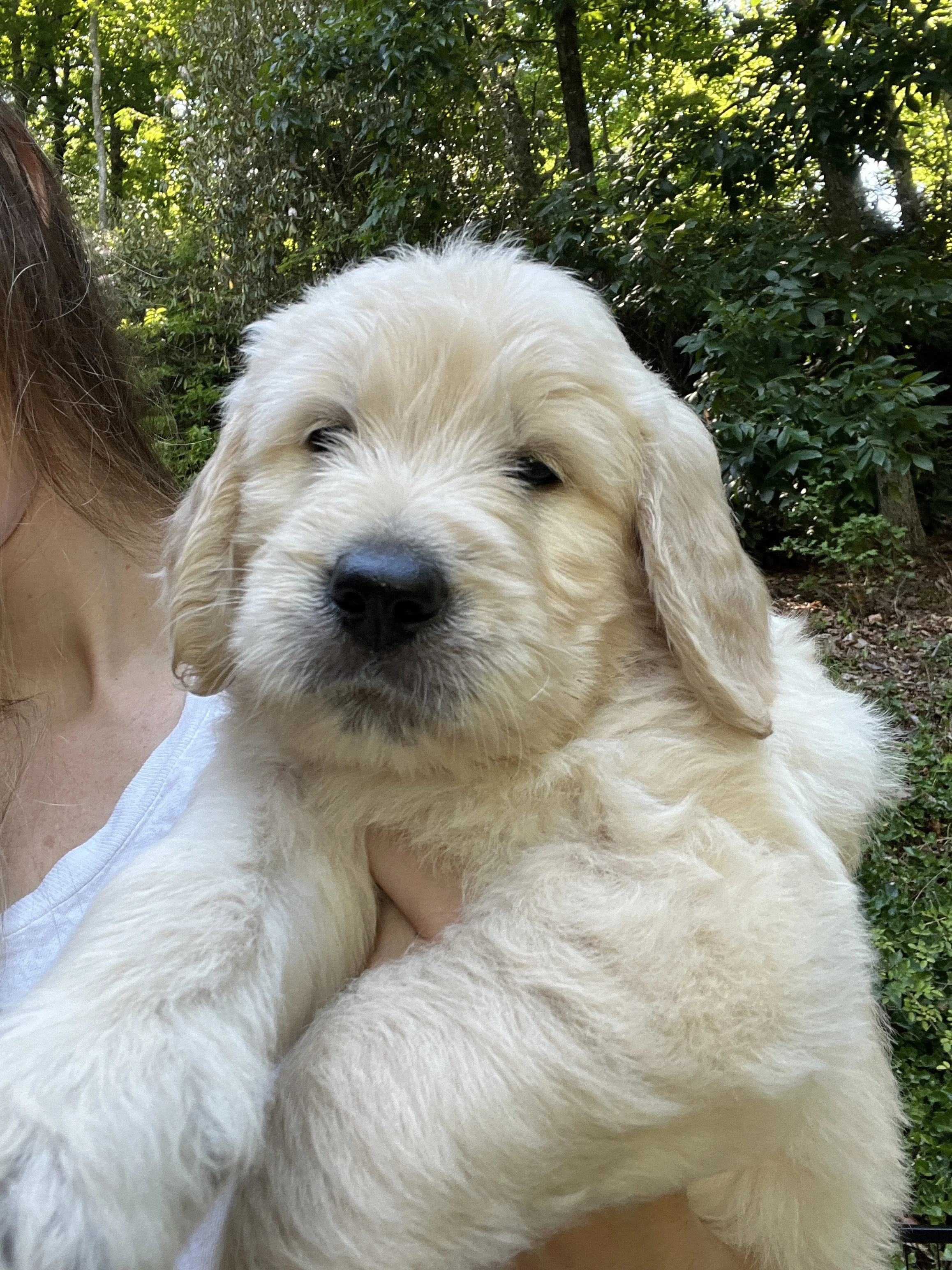 Coco