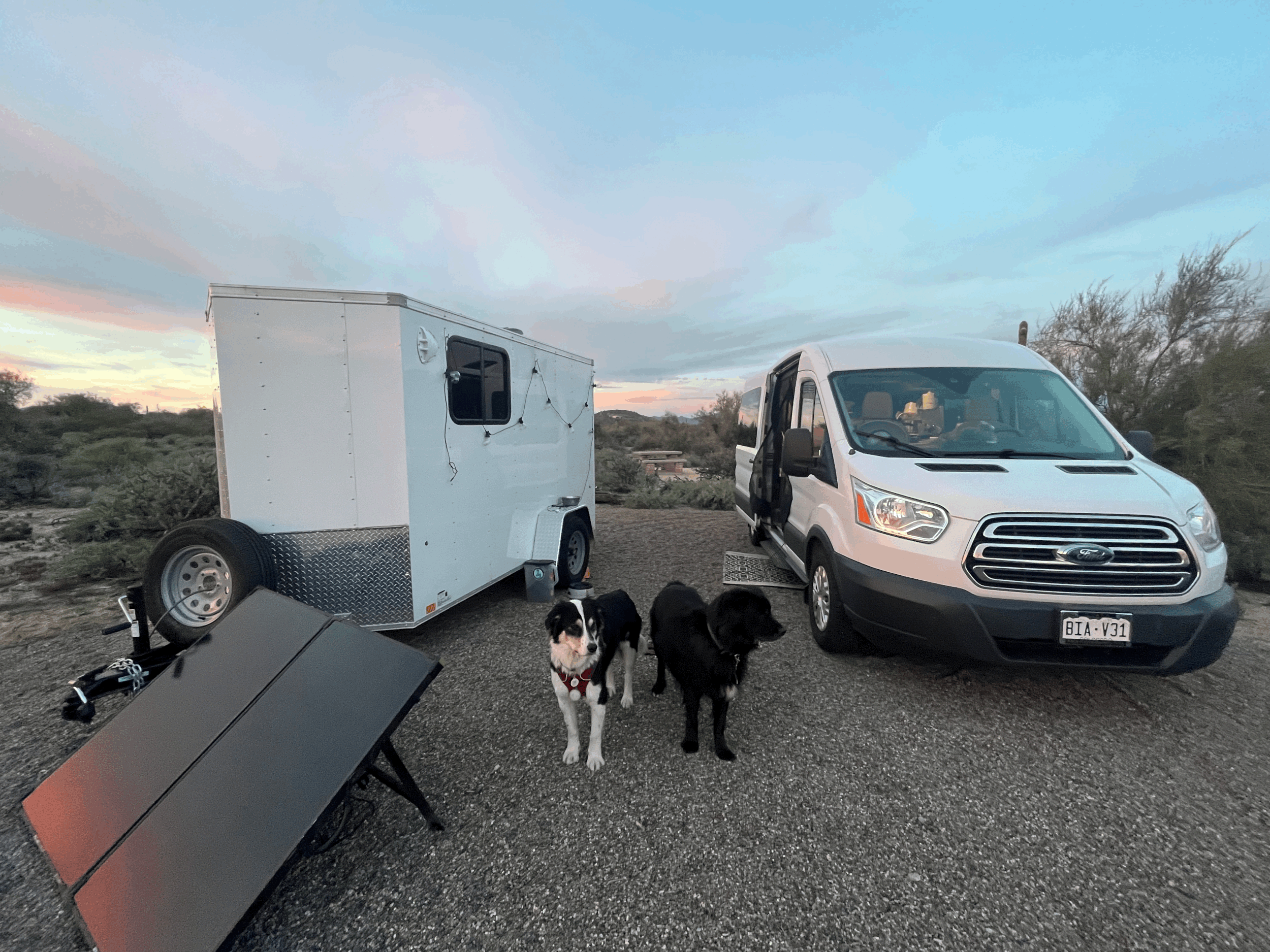 A white camper van and a small trailer parked on a dirt area with two black and white dogs standing between them.