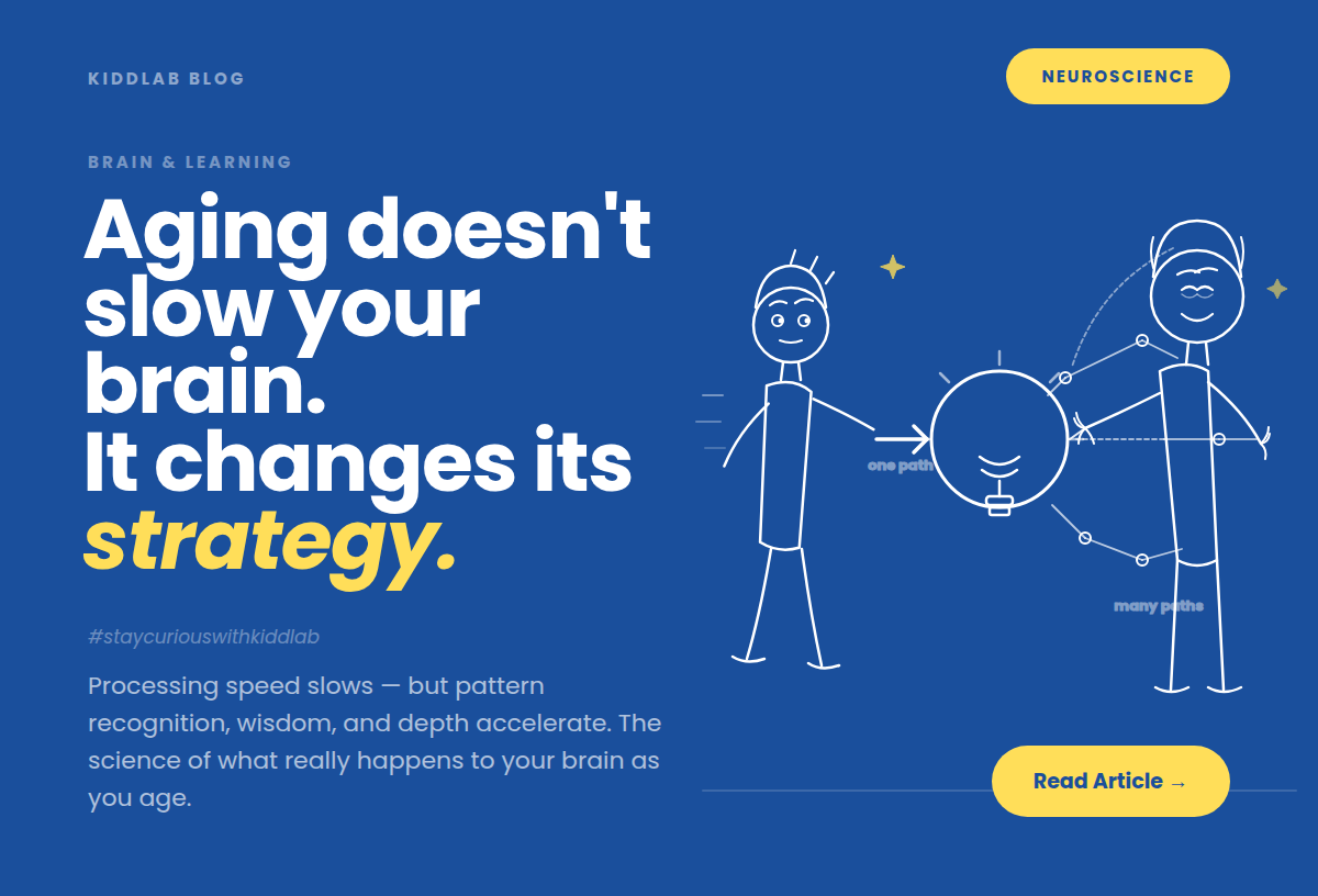 Aging Doesn't Slow Your Brain. It Changes Its Strategy.