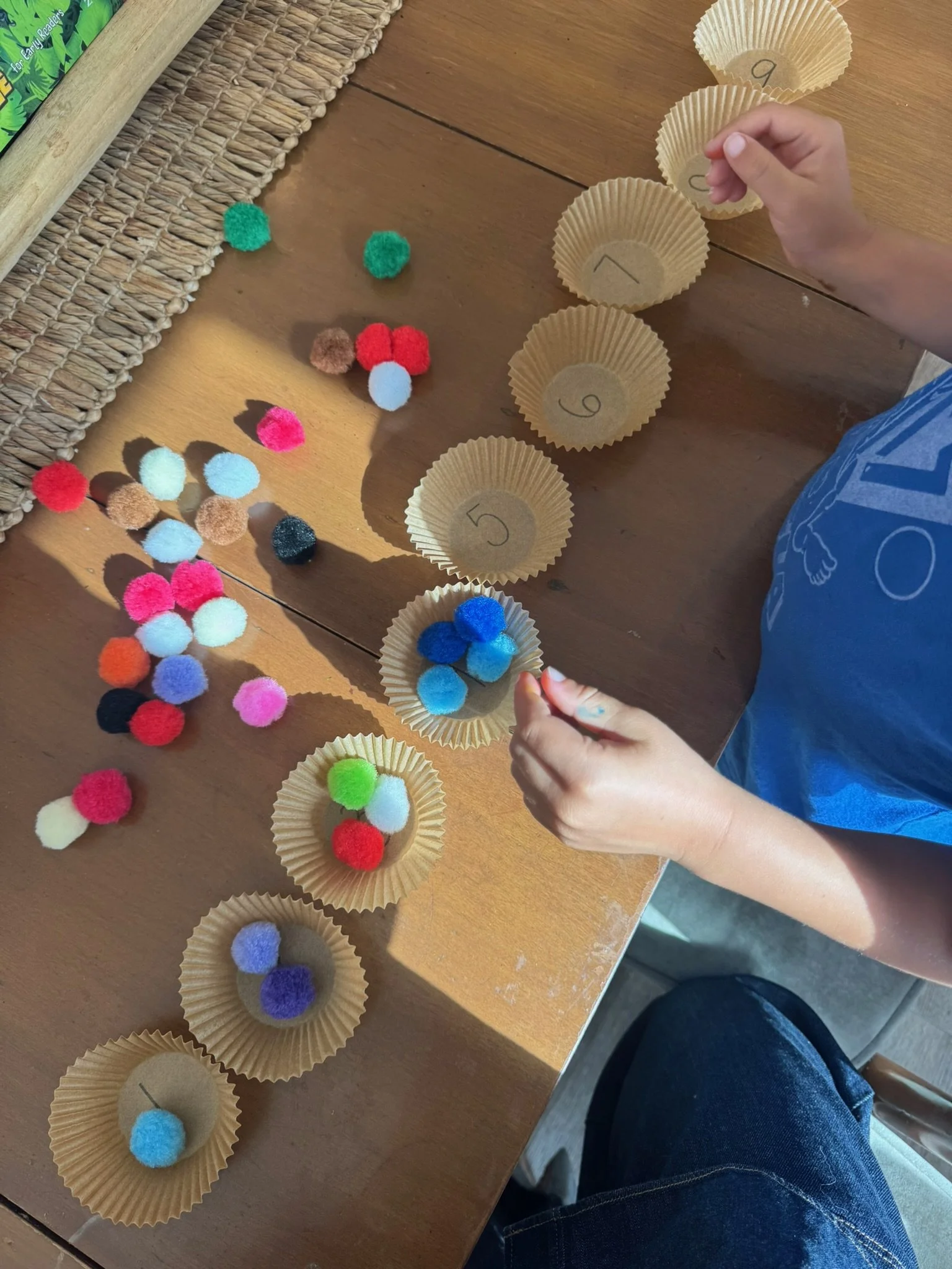 Pom Pom Counters