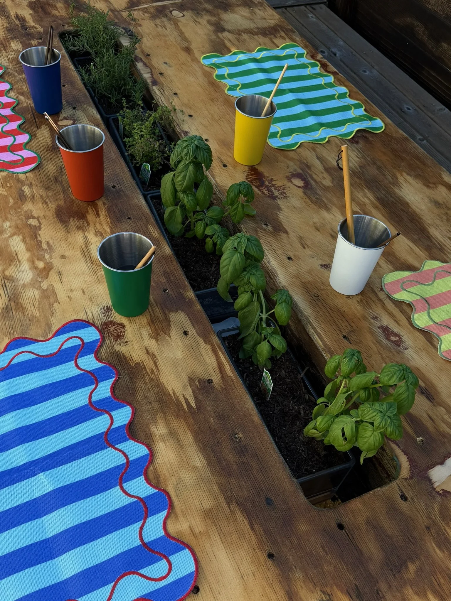 Colorful Cups