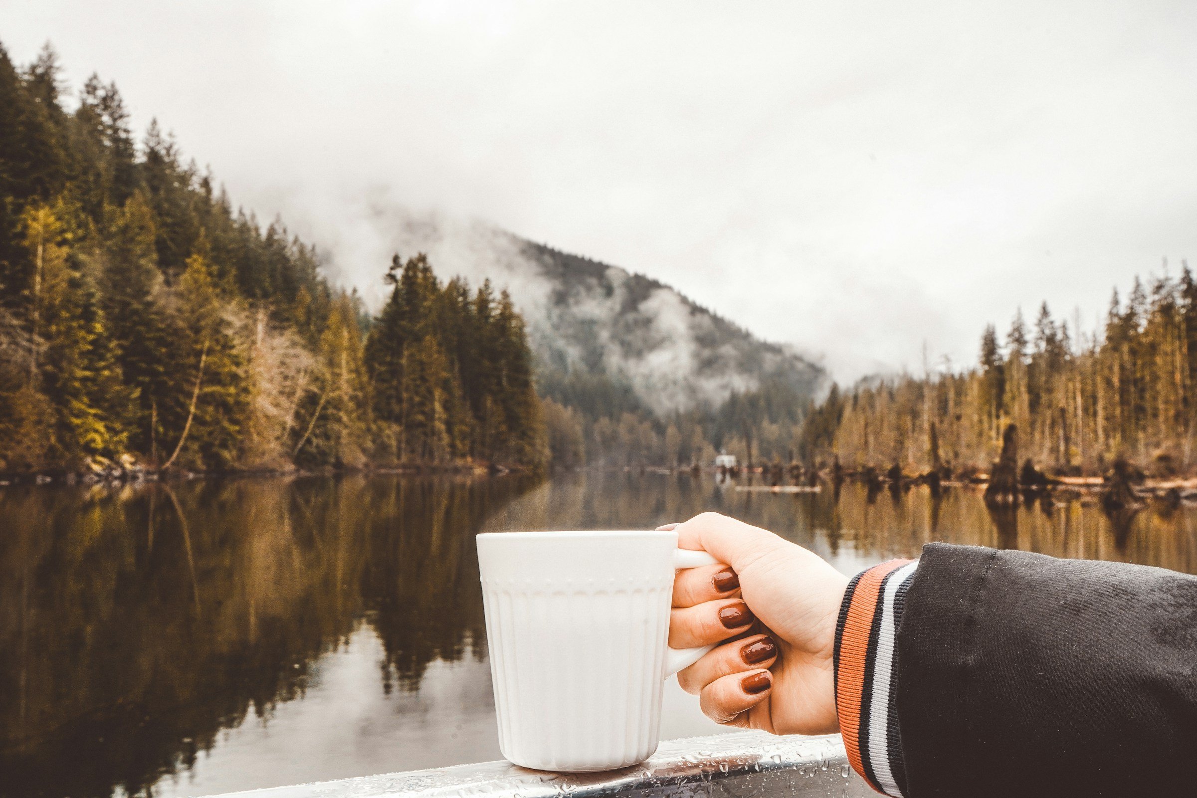 AI Consulting for Coquitlam Small Businesses