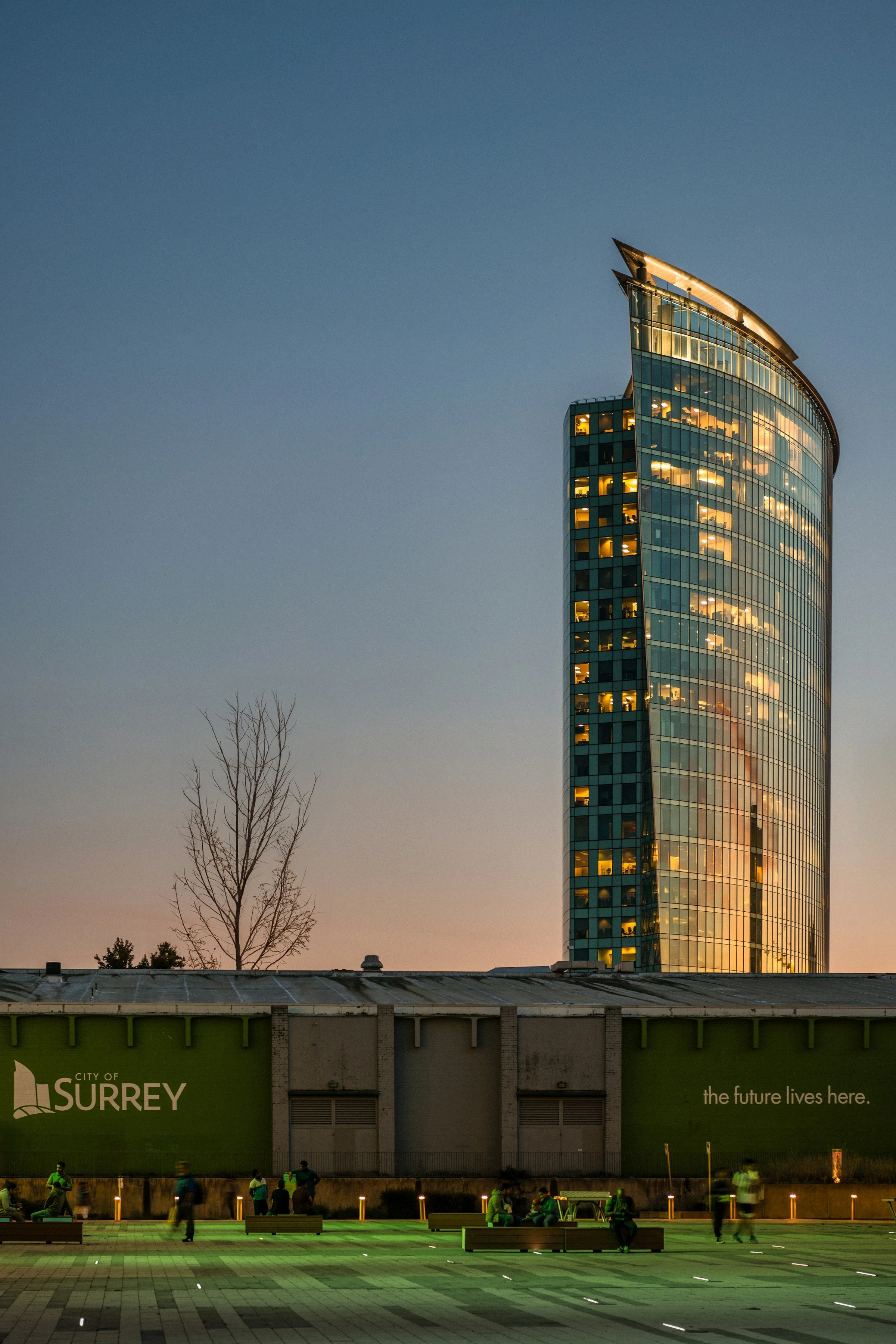 AI Consulting for Surrey Small Businesses