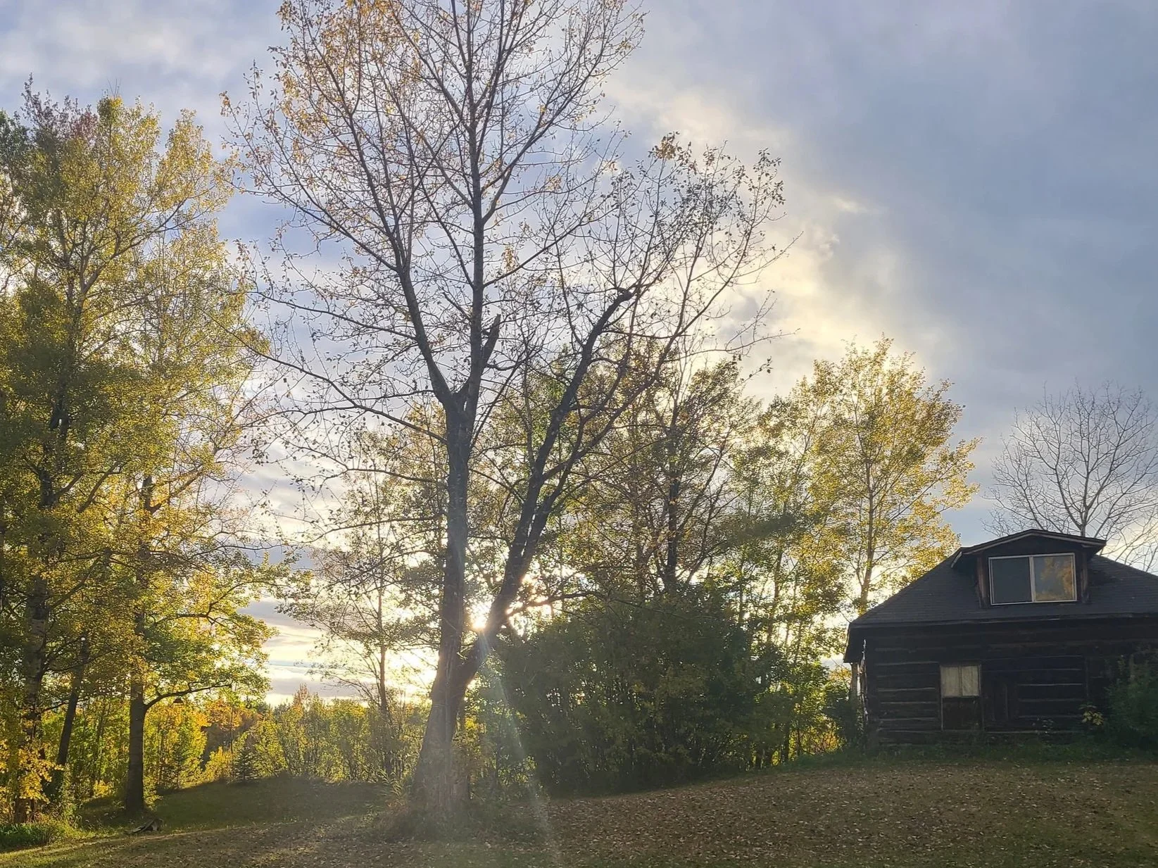 Sunset over a rural landscape with tall trees, some with autumn-colored leaves, and a dark wooden house on the right.