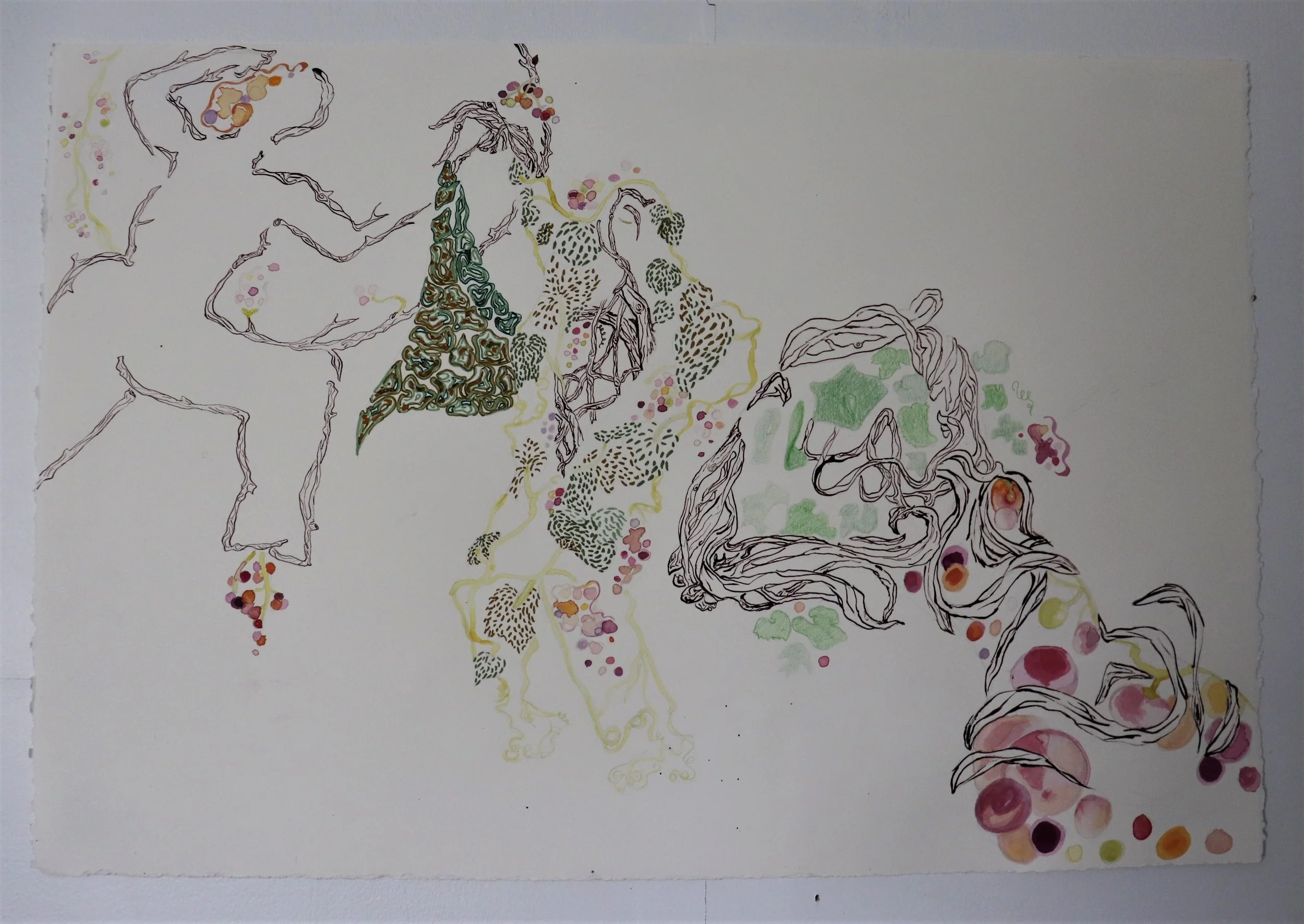 shes the vinyard.jpg