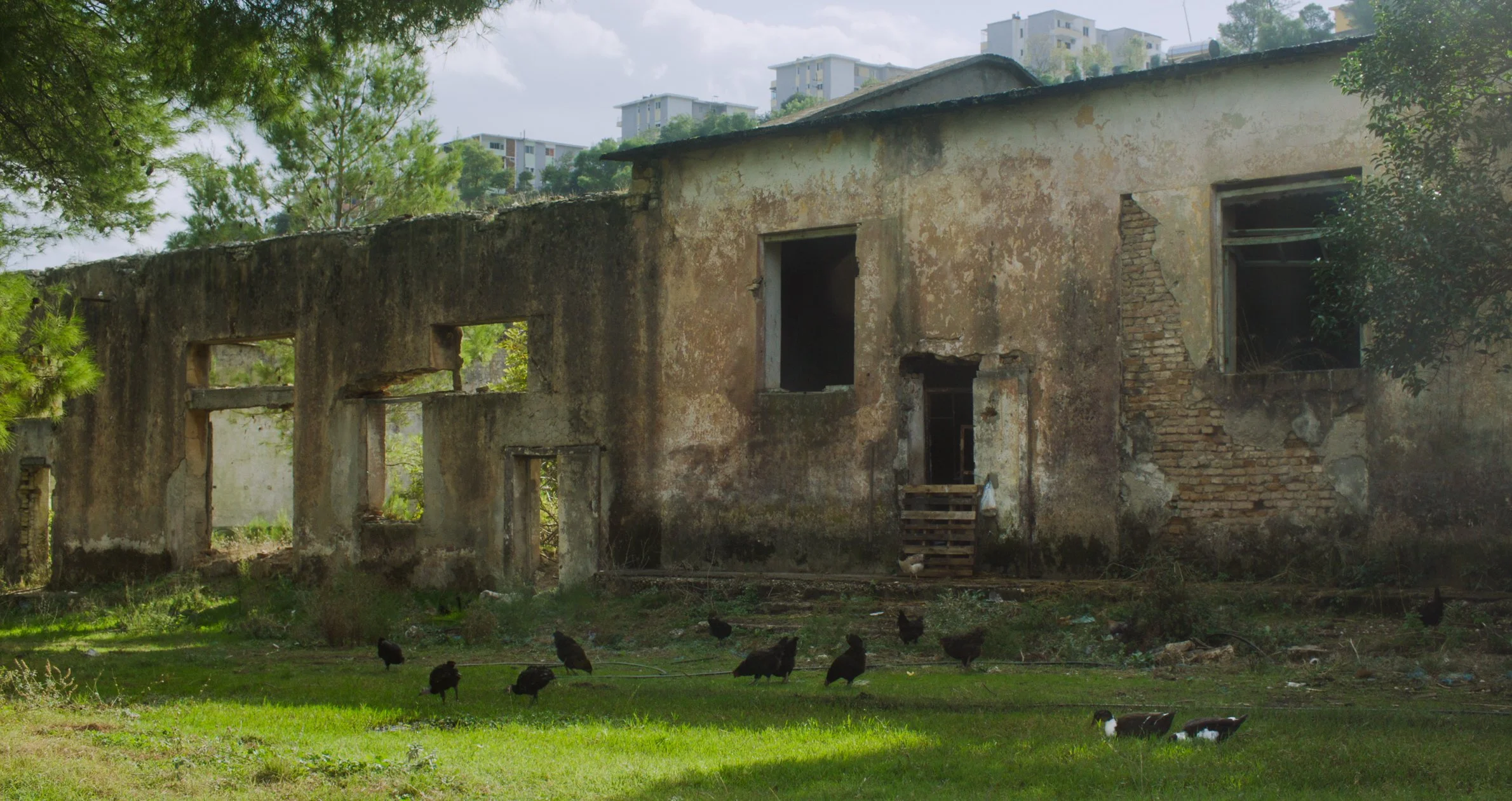 The Silent Country Production Still-14.JPG