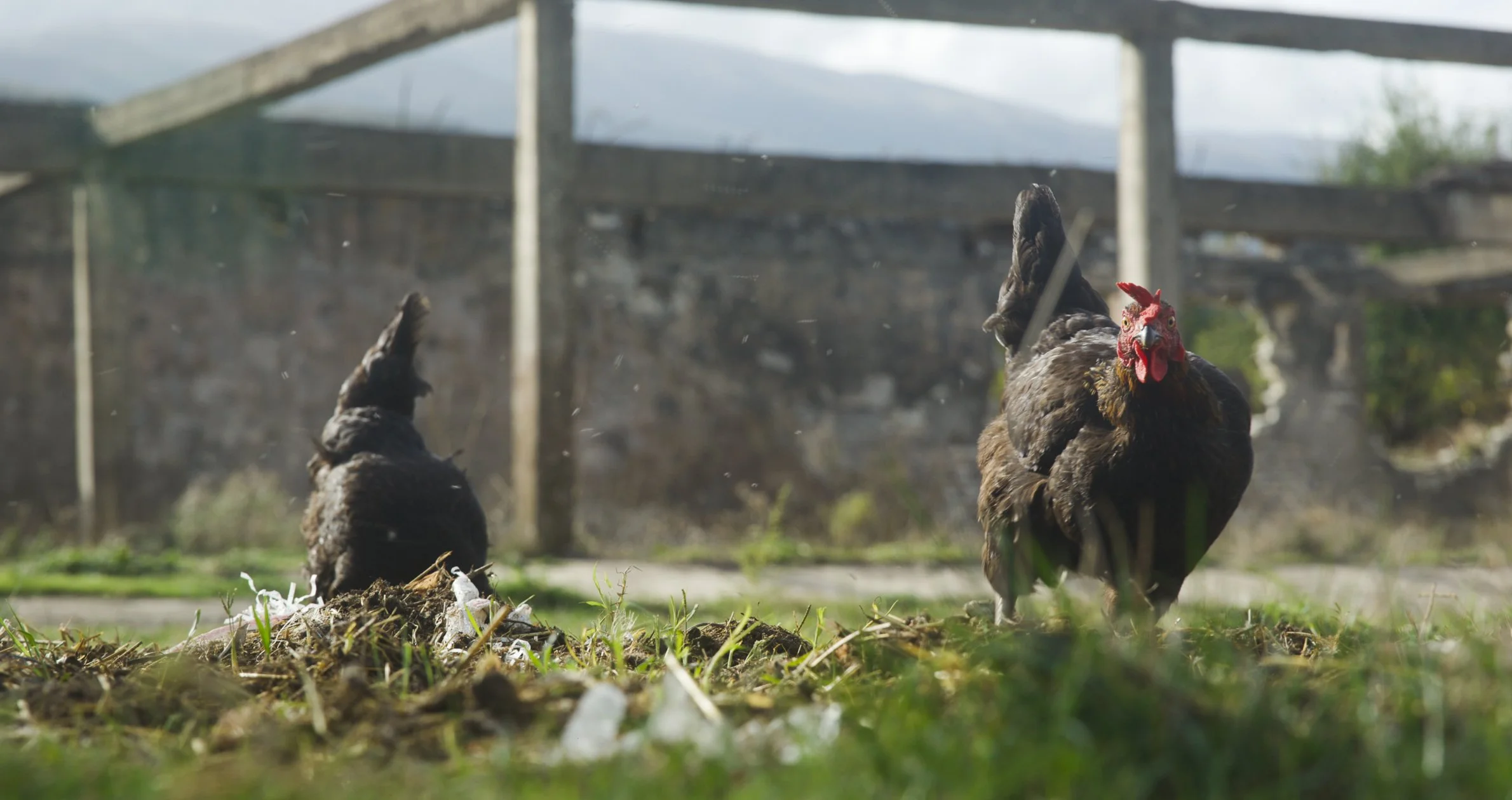 The Silent Country Production Still-13.JPG