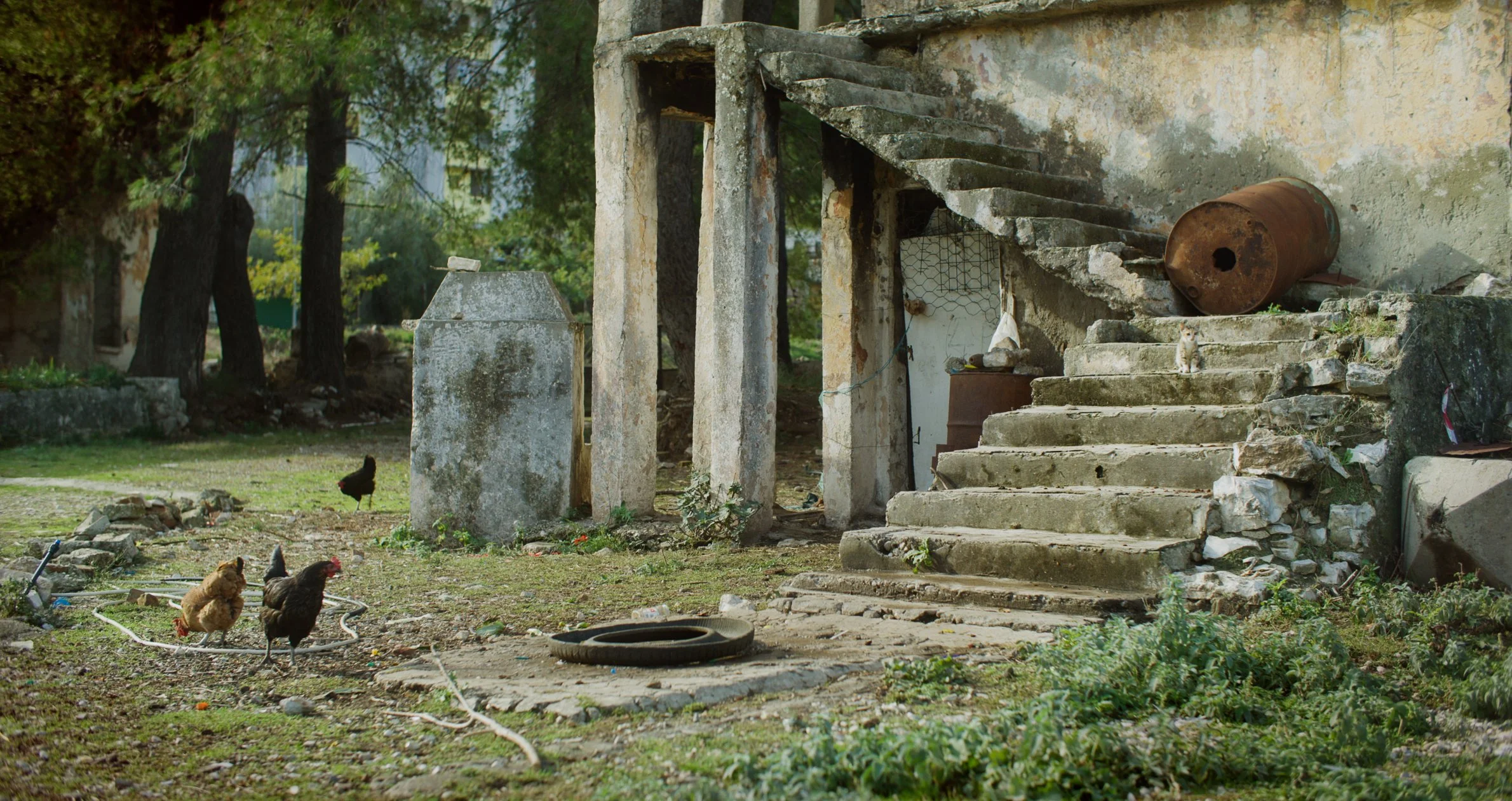 The Silent Country Production Still-15.JPG