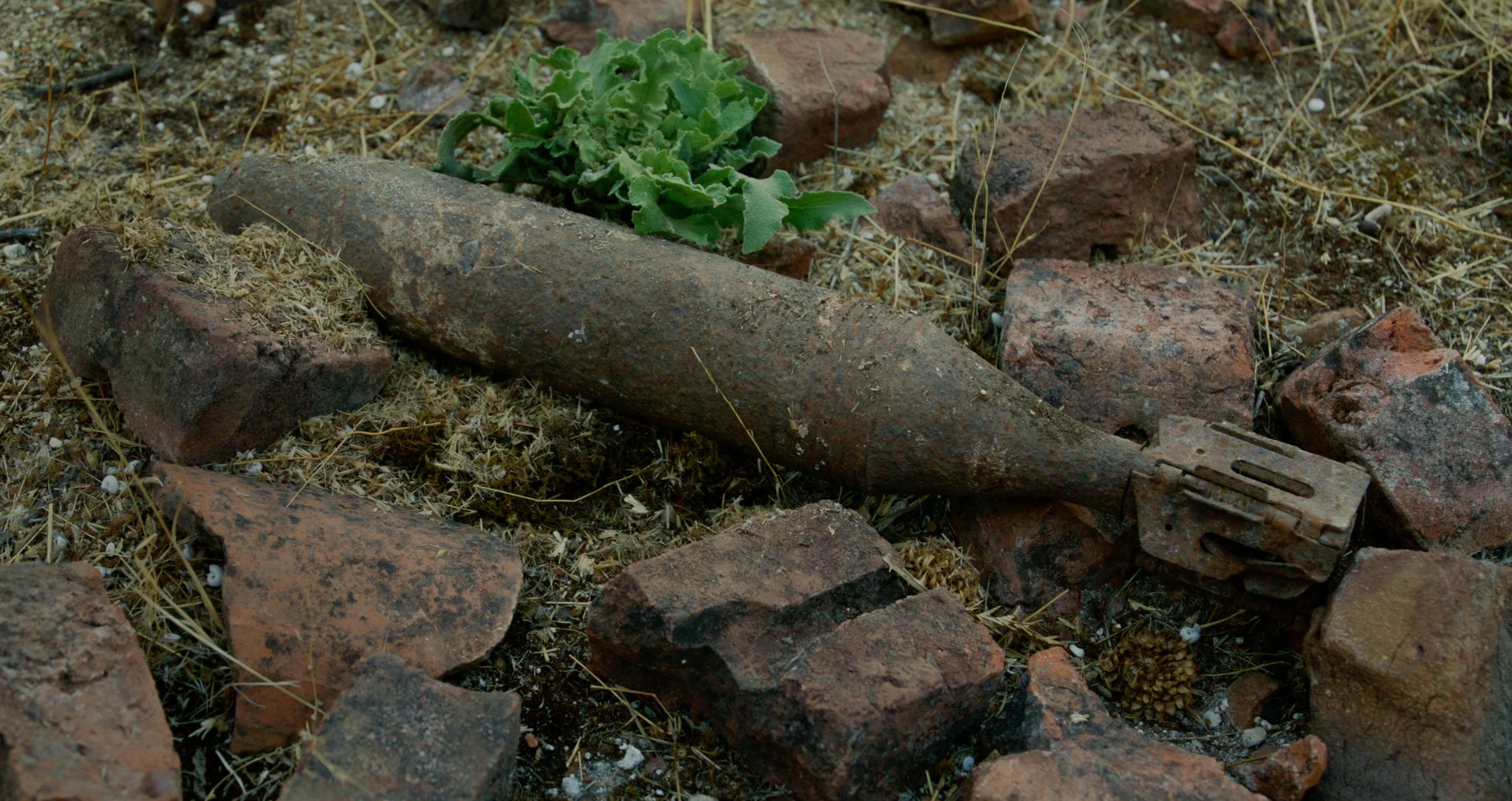 The Silent Country Production Still-40.JPG