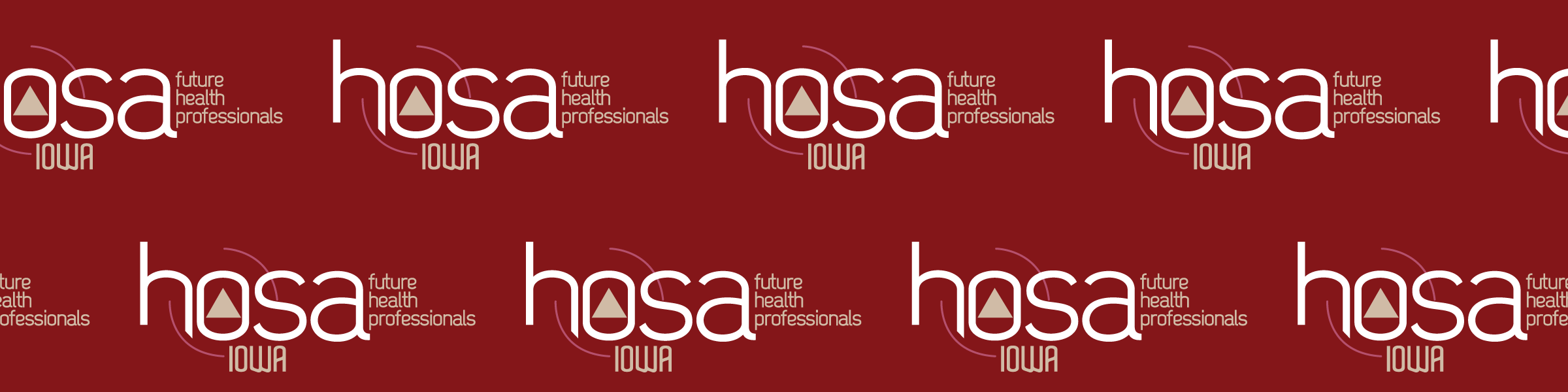 Executive Council — Iowa HOSA