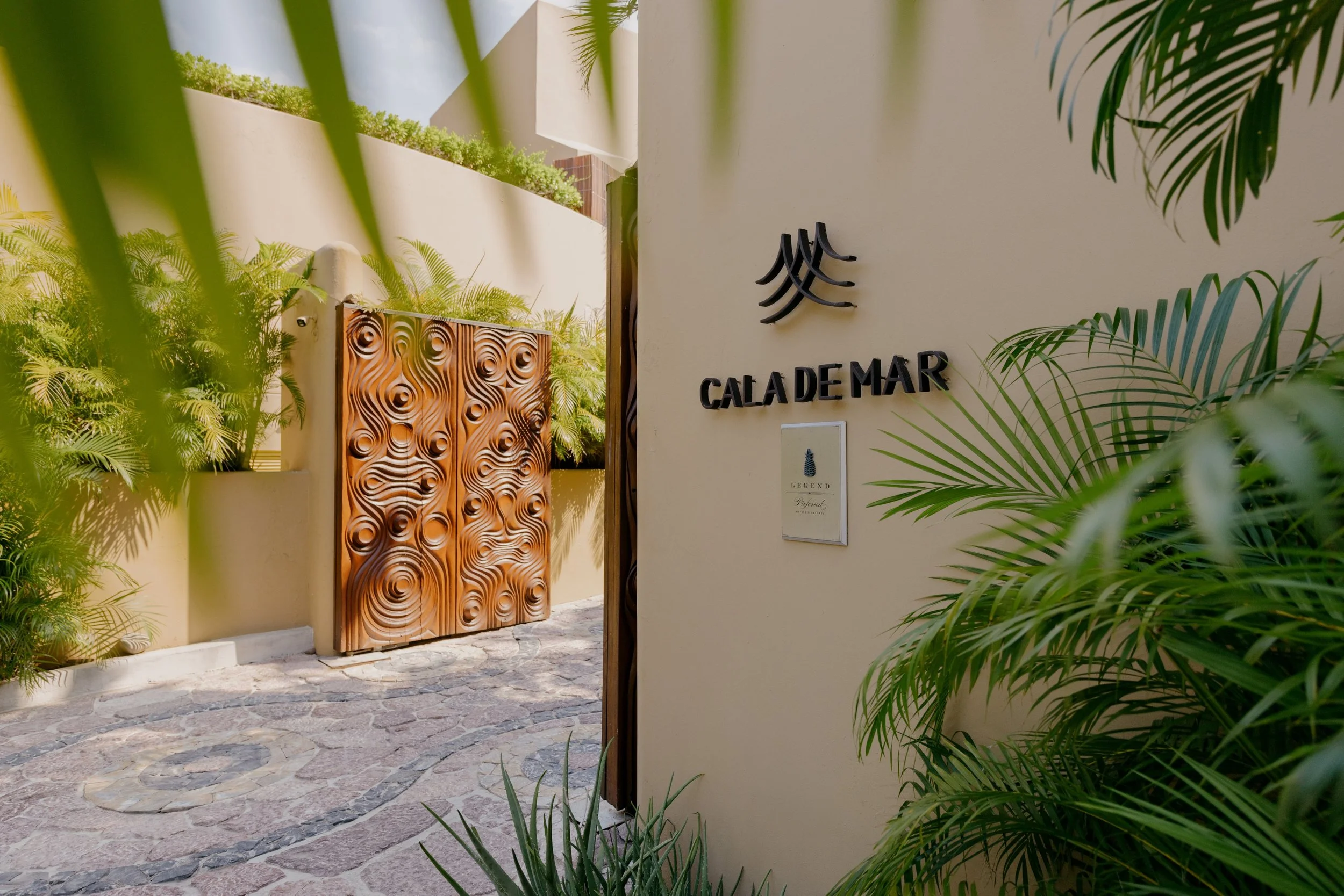 CDM_GENERAL AREAS_Photo by Davis Gerber_40 lo res.jpg