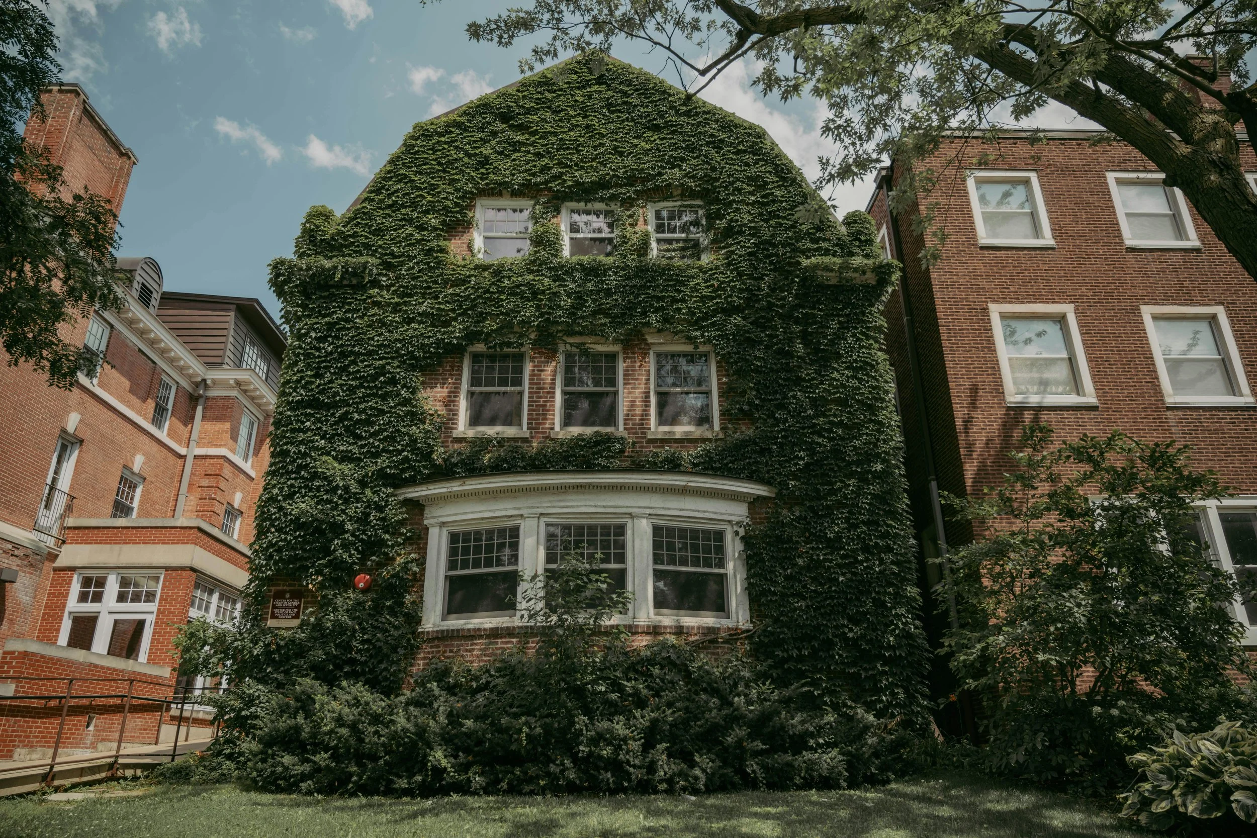 A brick house covered in green ivy, with multiple windows and surrounded by trees and a grassy area.