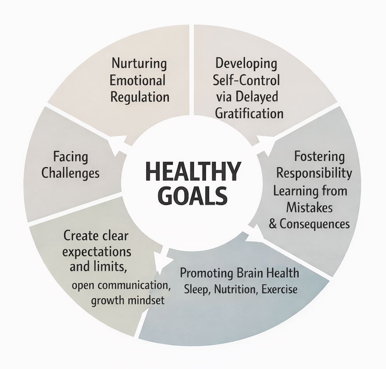 A circular diagram titled 'Healthy Goals' with eight segments, each describing a different goal such as developing self-control, fostering responsibility, promoting brain health, creating clear expectations, facing challenges, nurturing emotional regulation, and aligning with healthy lifestyle habits.