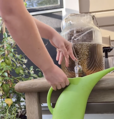 Screenshot 2025-11-20 at 1.24.42 PM.png