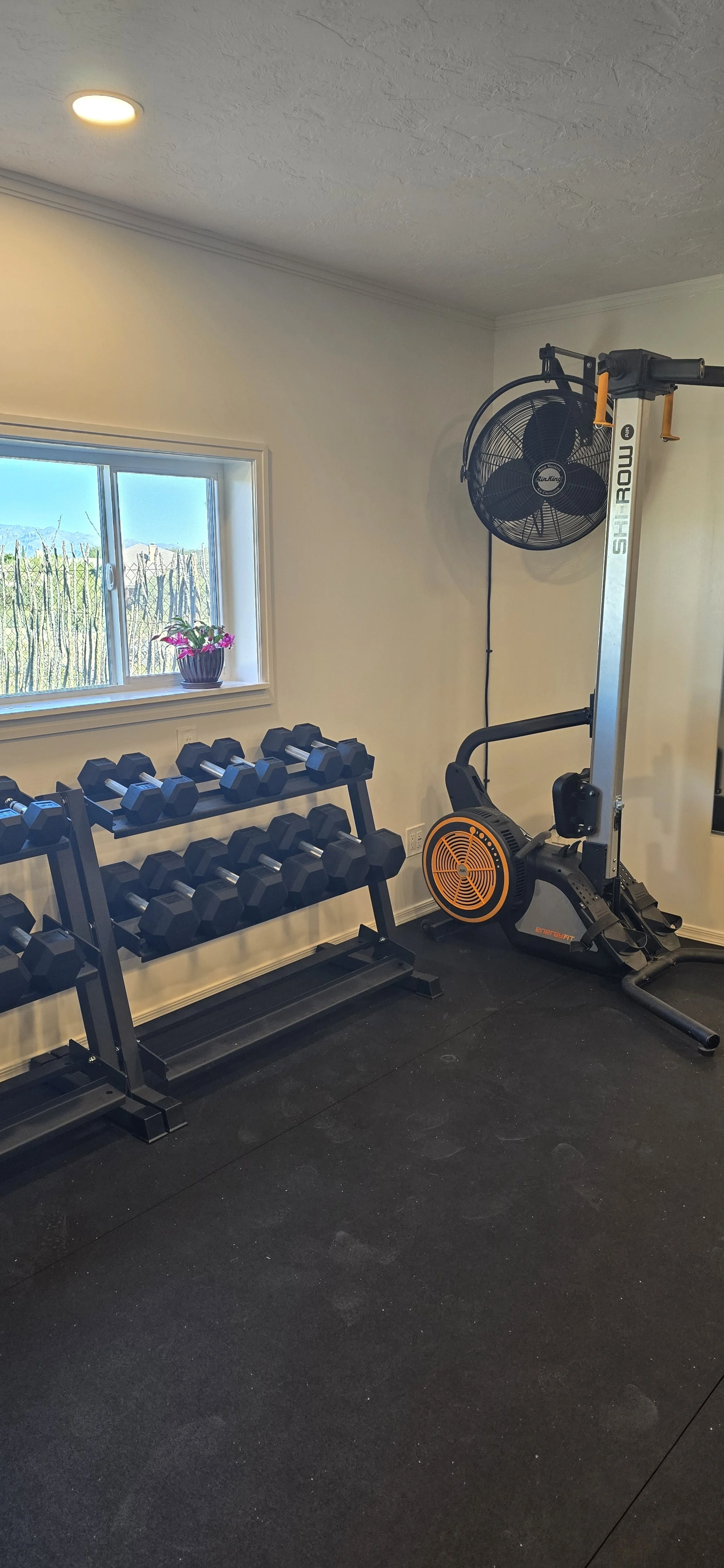 Couples/Duo Package (8 60-Minute Sessions)