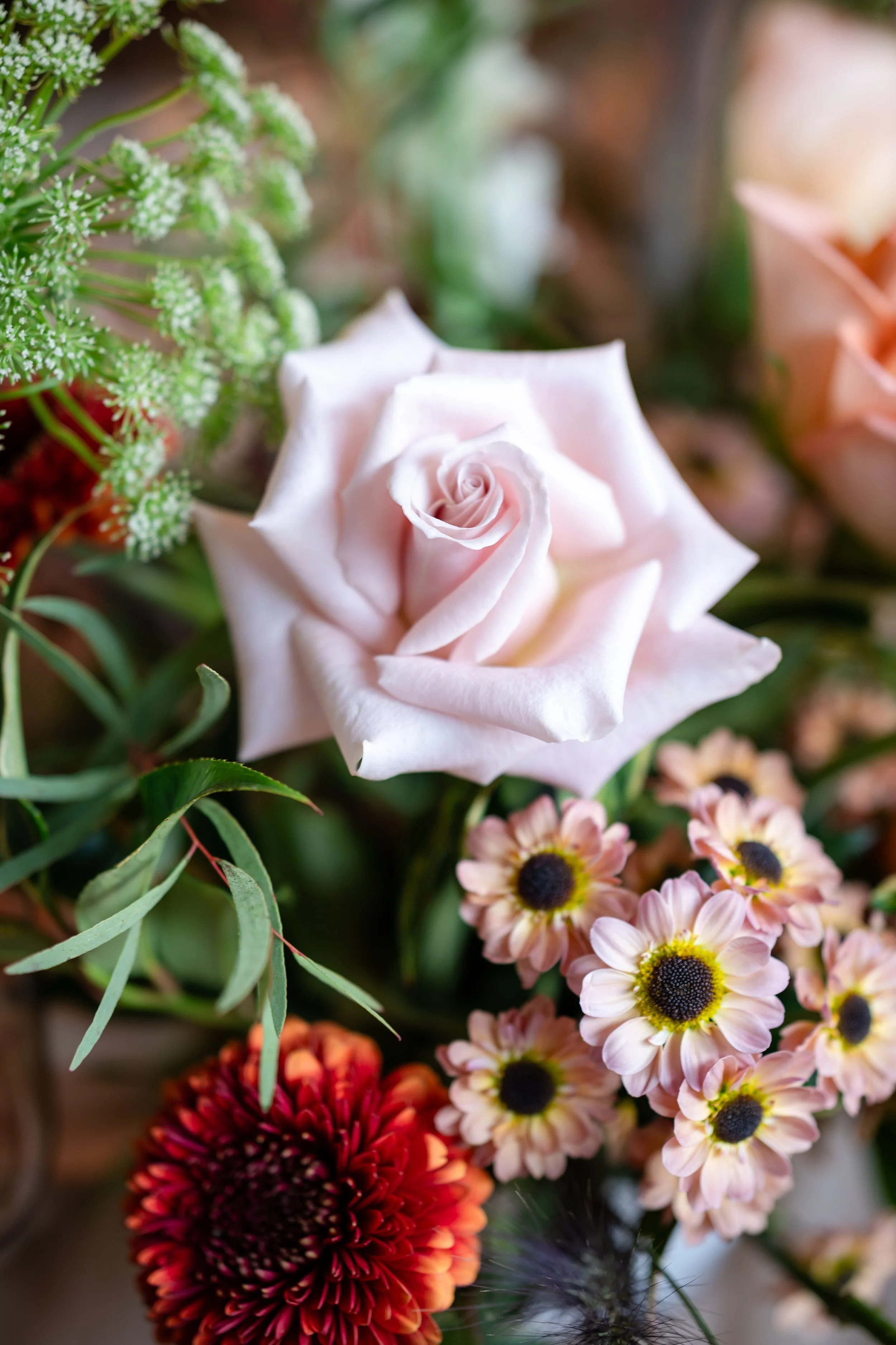 Eine Rose inmitten verschiedener anderer Blumen, darunter kleine rosa Chrysanthen und grüne Blätter. Aufgenommen von Hochzeitsfotograf Dominic Glock.