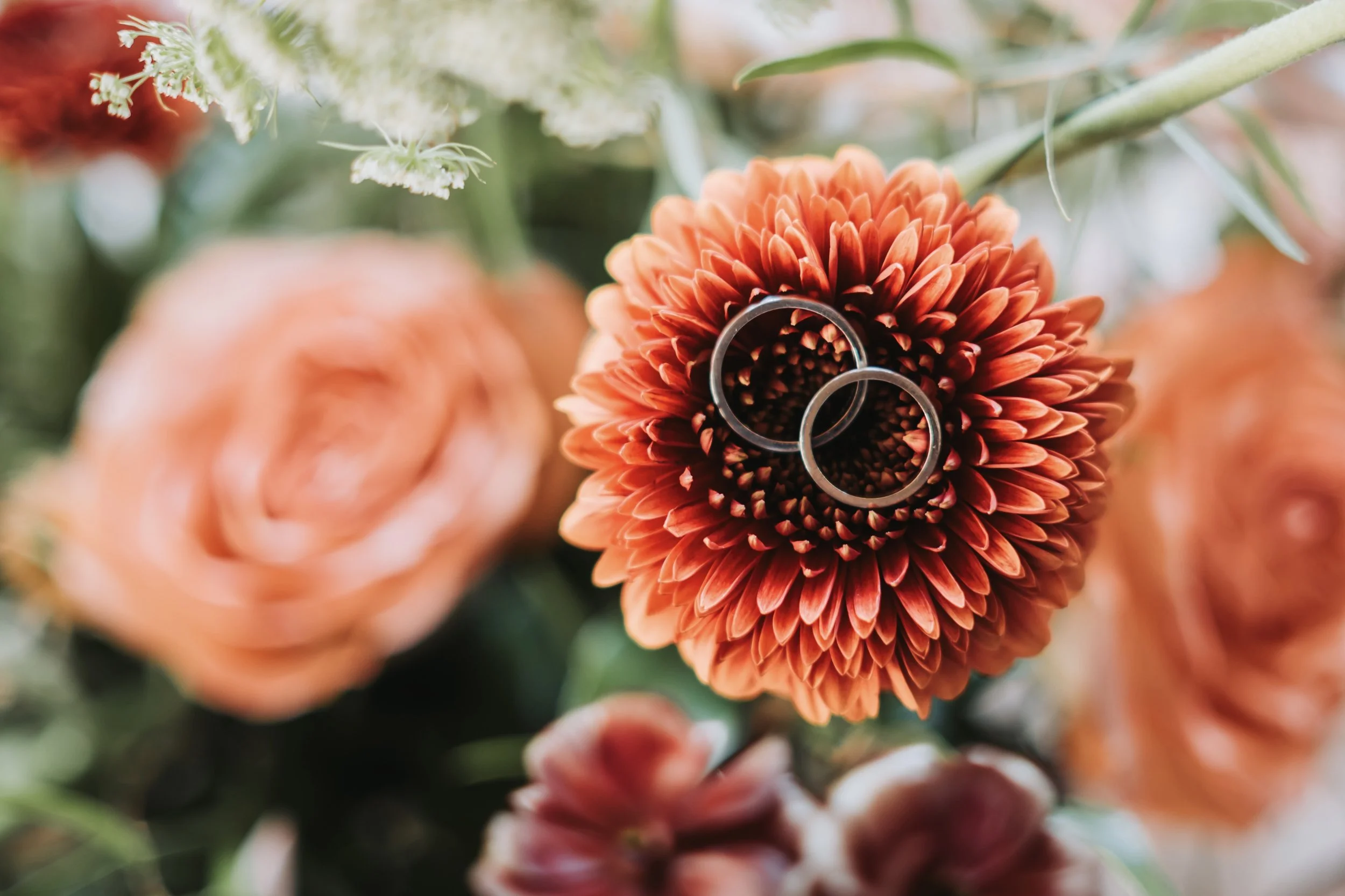 Zwei Eheringe liegen auf einer orangefarbenen Blüte mit vielen zarten Blütenblättern, umgeben von weiteren Blumen. Aufgenommen von Hochzeitsfotograf Dominic Glock.