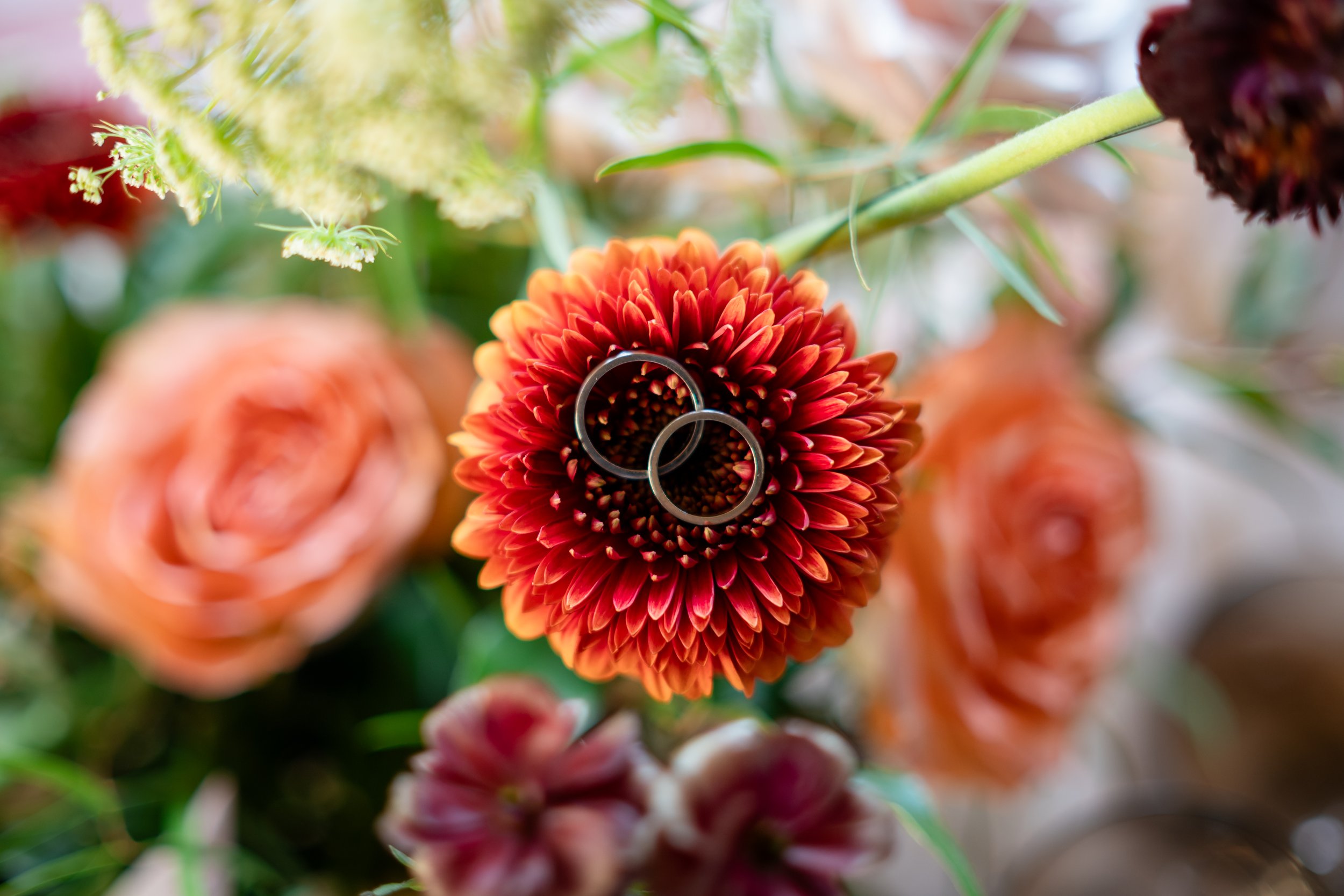 Zwei Eheringe liegen auf einer orangenen Blume bei einer Hochzeit in Brandenburg. Aufgenommen von Hochzeitsfotograf Dominic Glock.