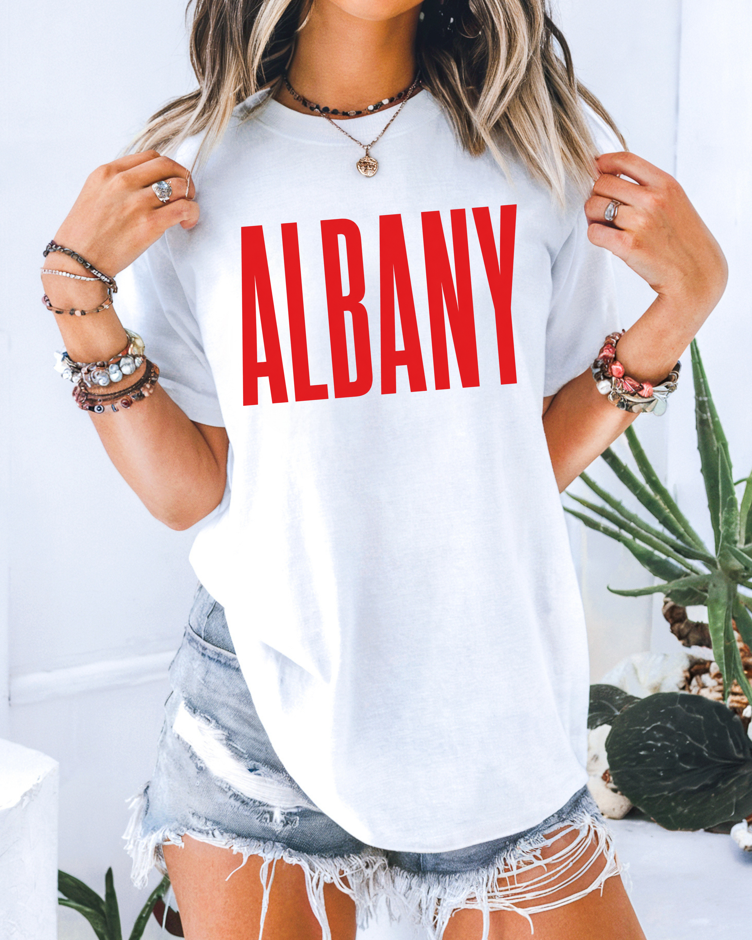 Albany.png